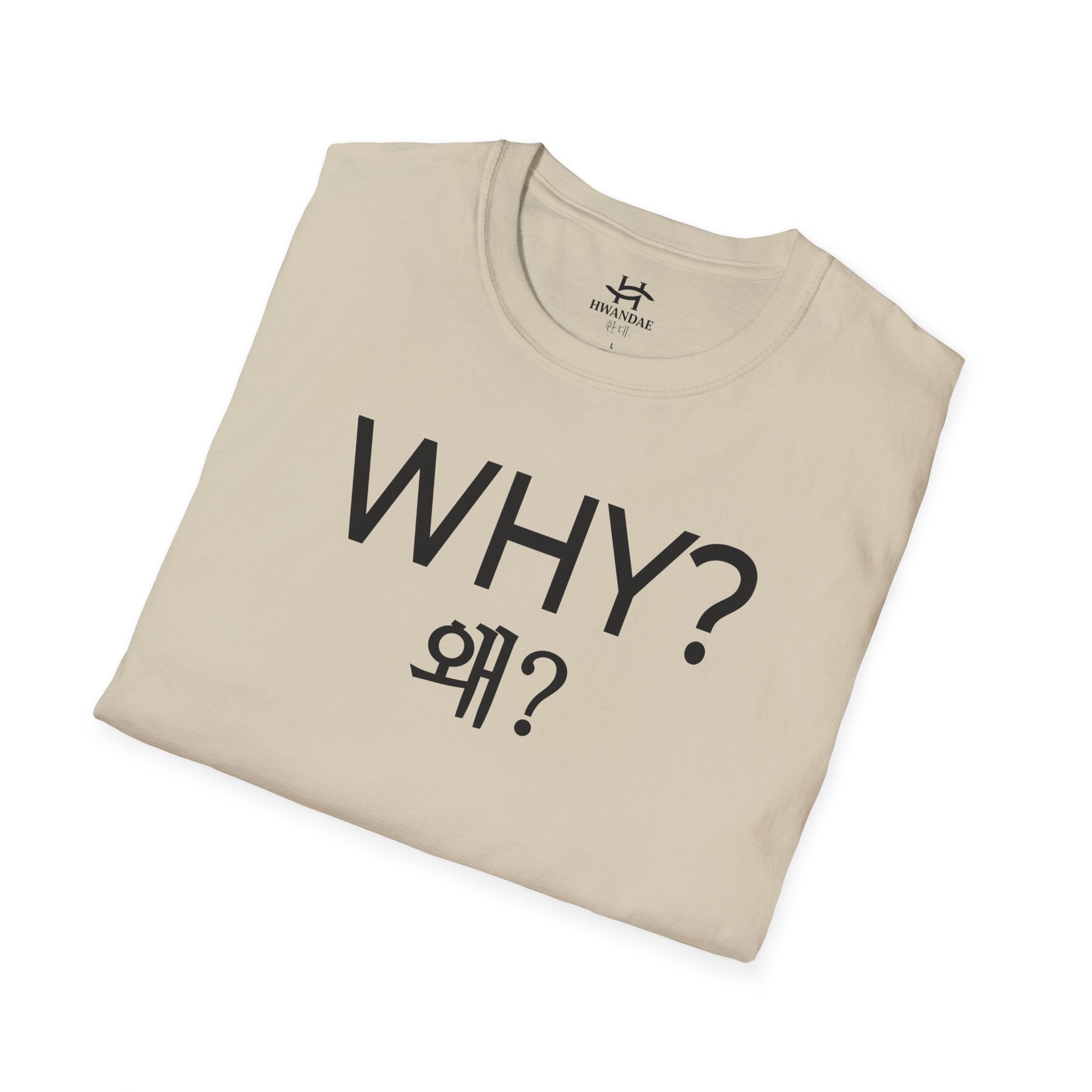 Korean WHY T-Shirt