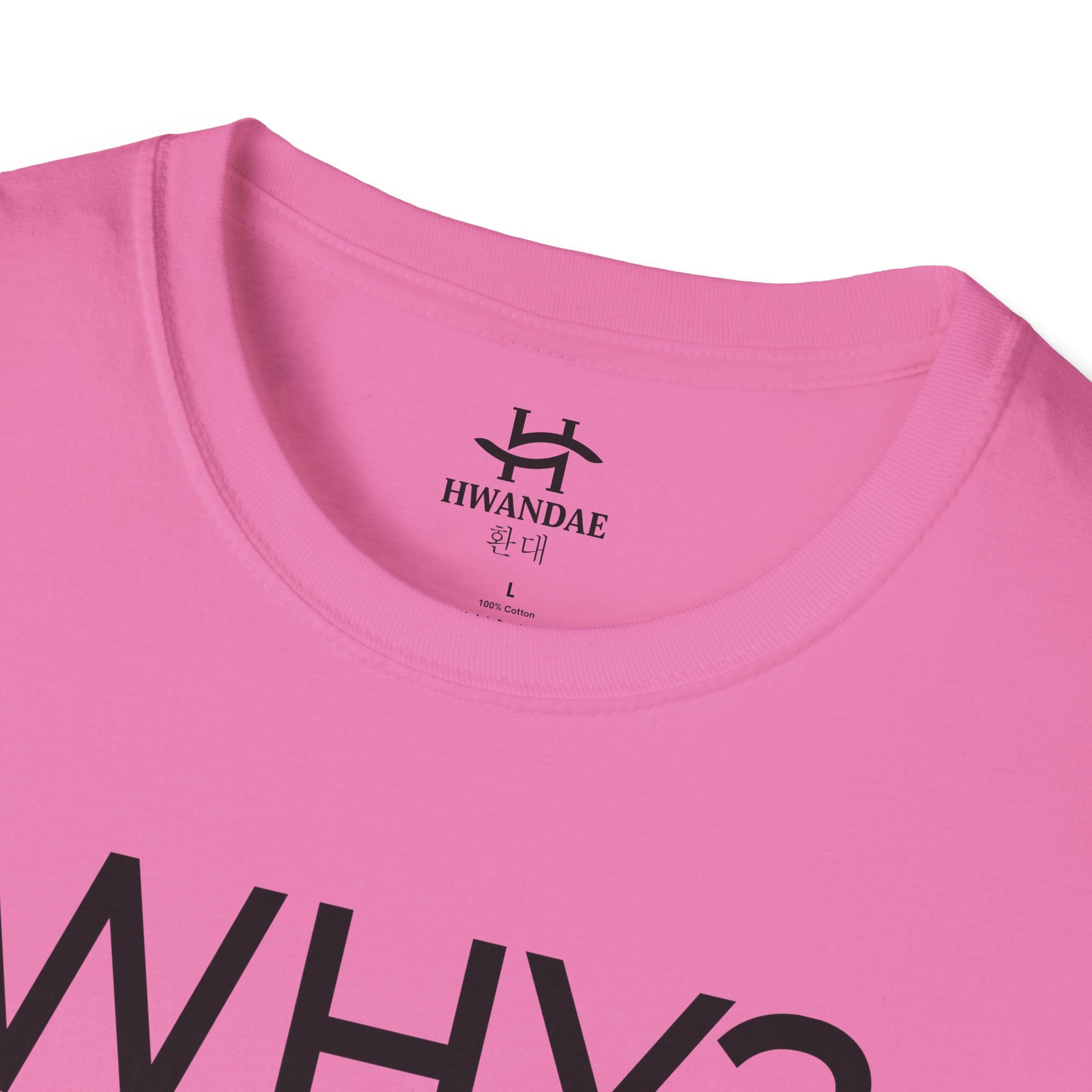 Korean WHY T-Shirt