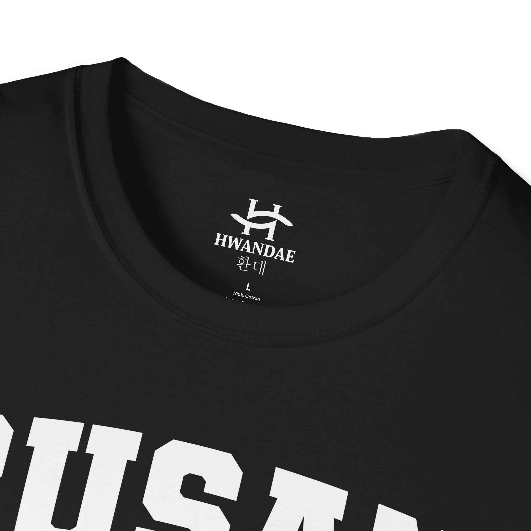 Busan Varsity T-Shirt with Korean and Flags