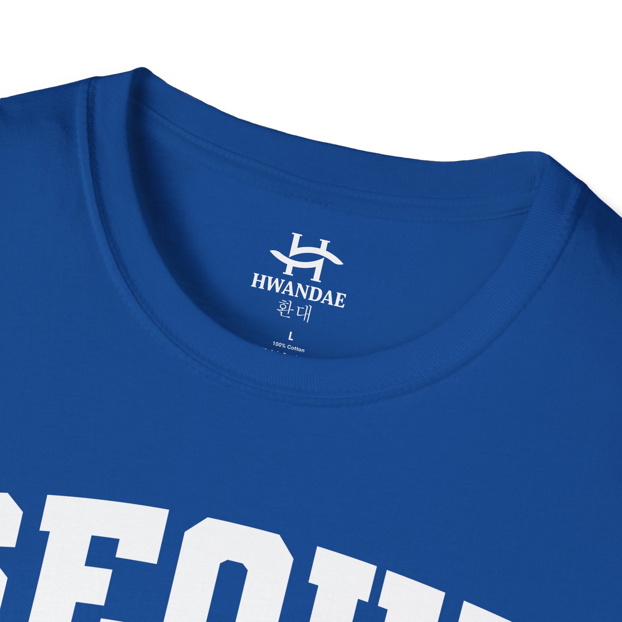 Seoul Varsity T-Shirt with Korean, Flags and Establishment date