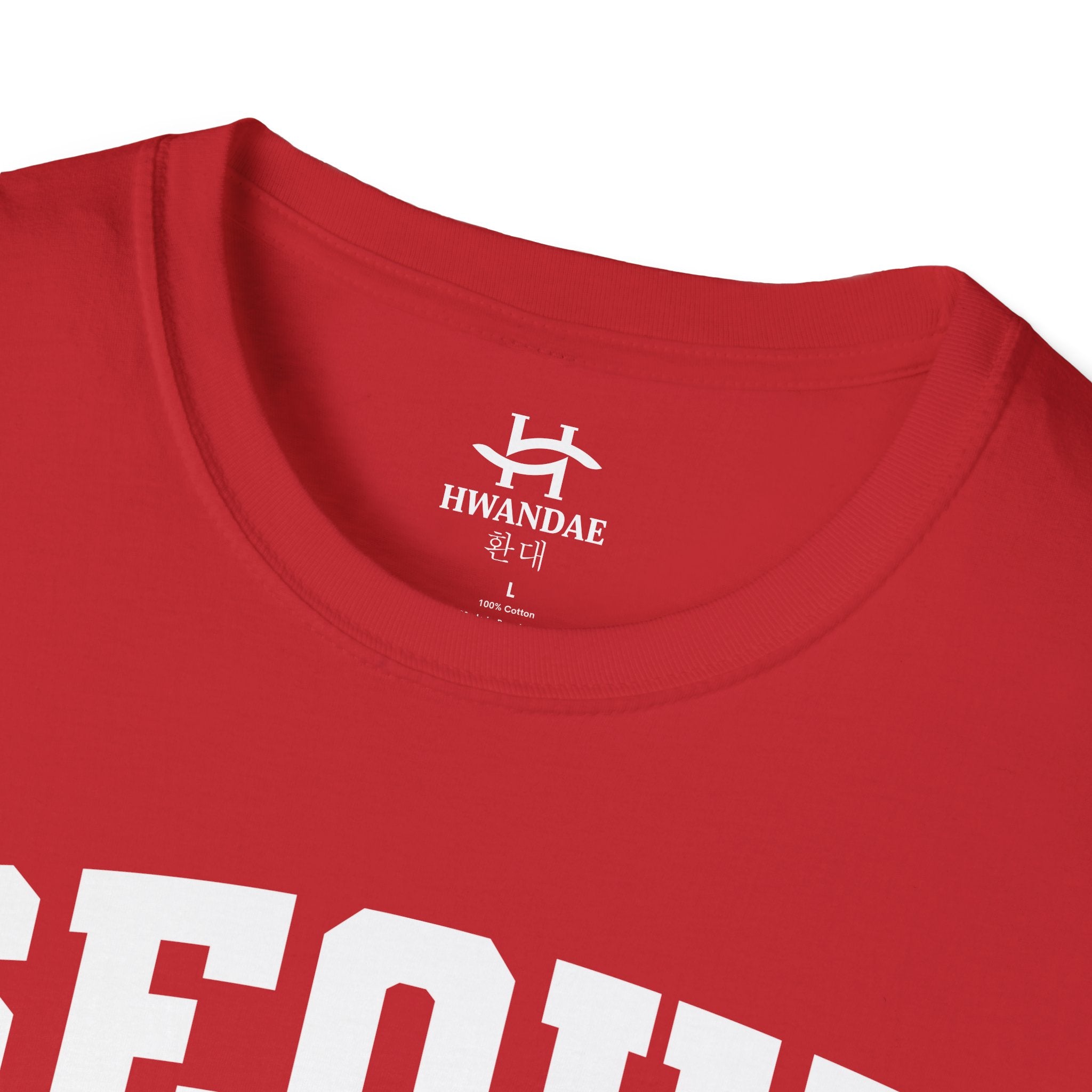 Seoul Varsity T-Shirt with Korean, Flags and Establishment date