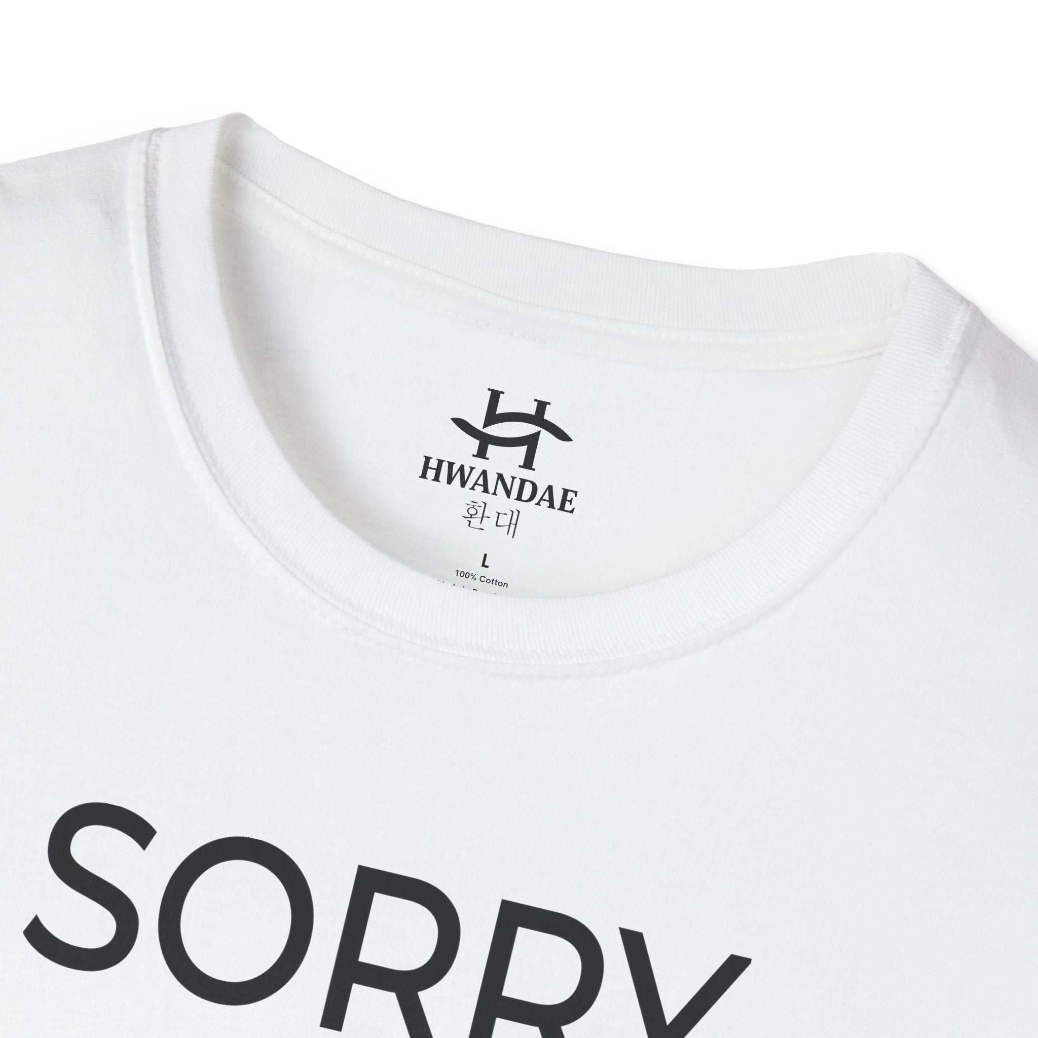 Korean SORRY T-Shirt