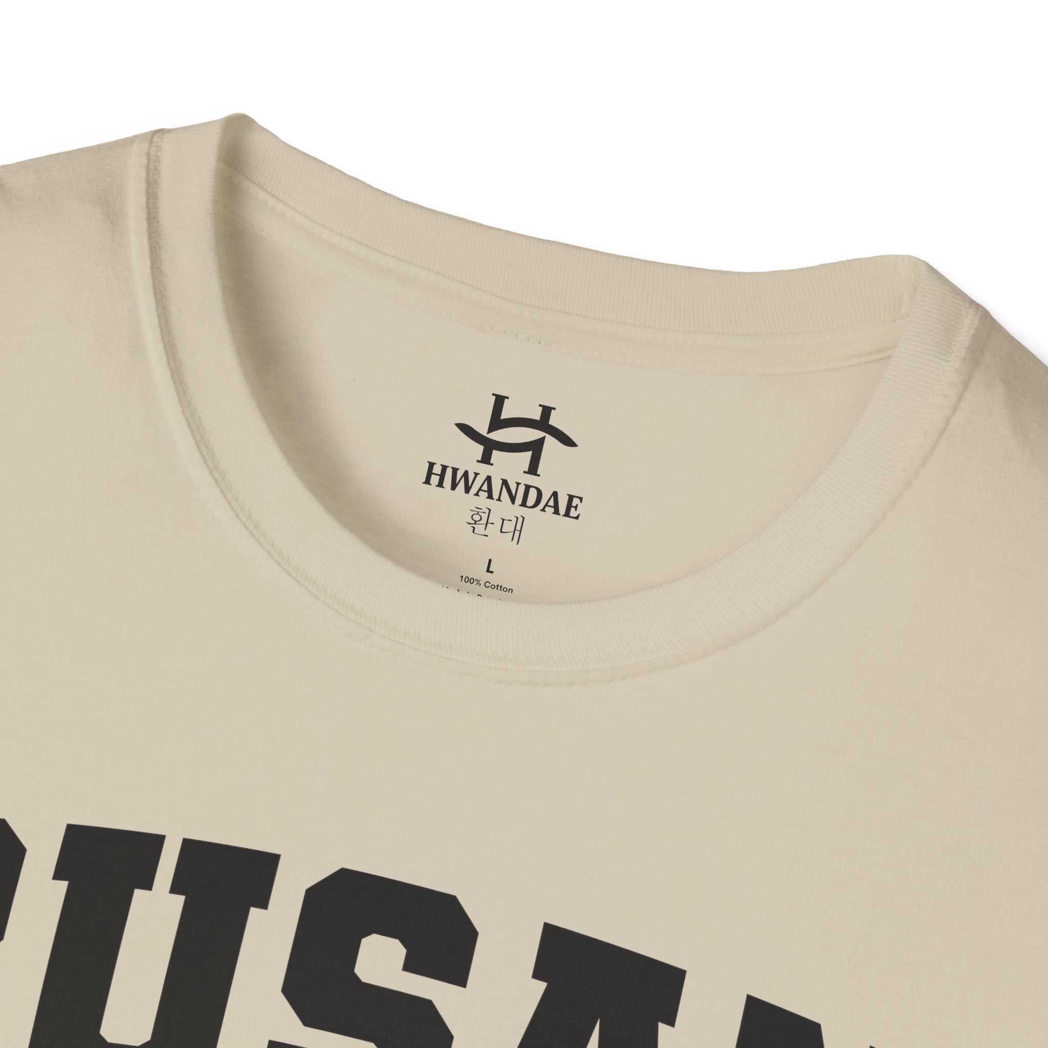 Busan Varsity T-Shirt with Korean and Flags