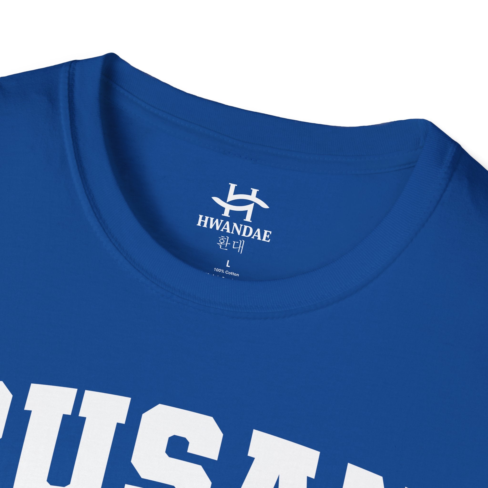 Busan Varsity T-Shirt with Korean and Flags