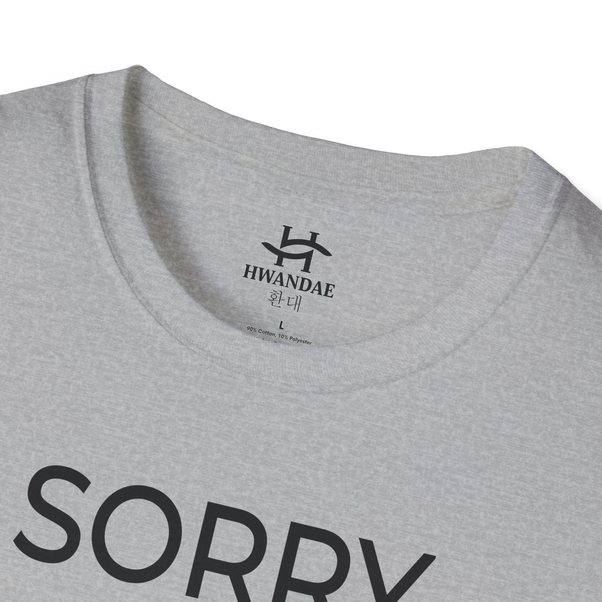 Korean SORRY T-Shirt