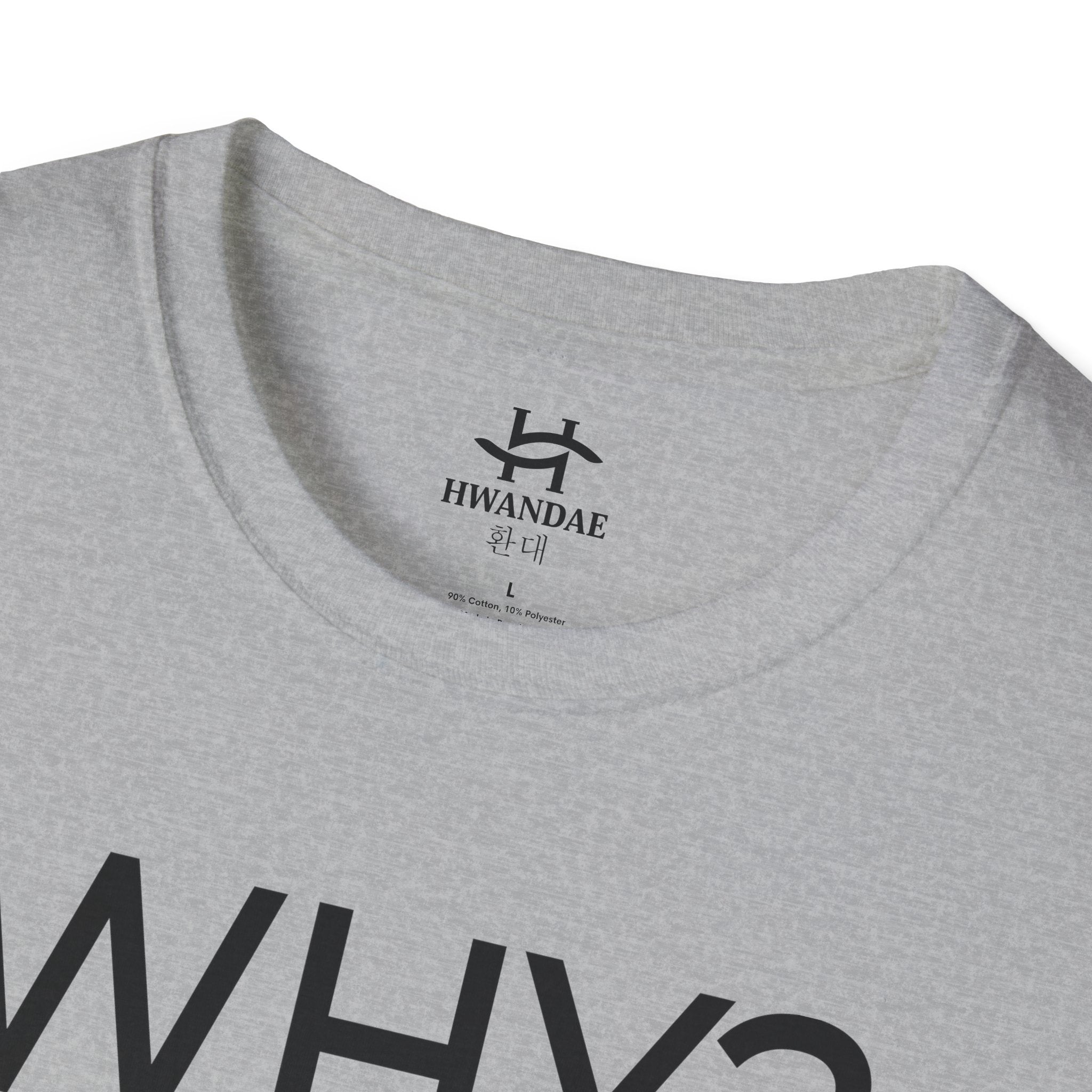 Korean WHY T-Shirt