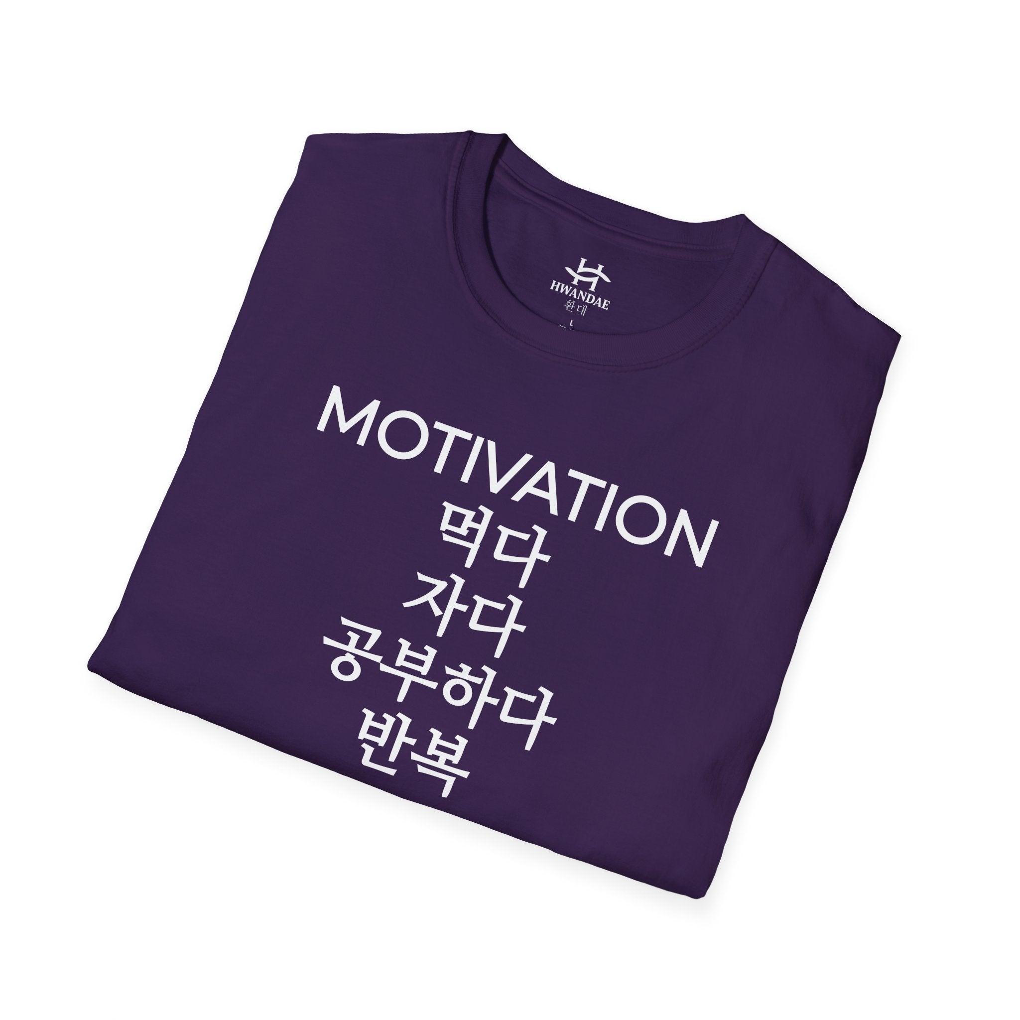 Korean MOTIVATION T-Shirt - Eat Sleep Study Repeat Version 2