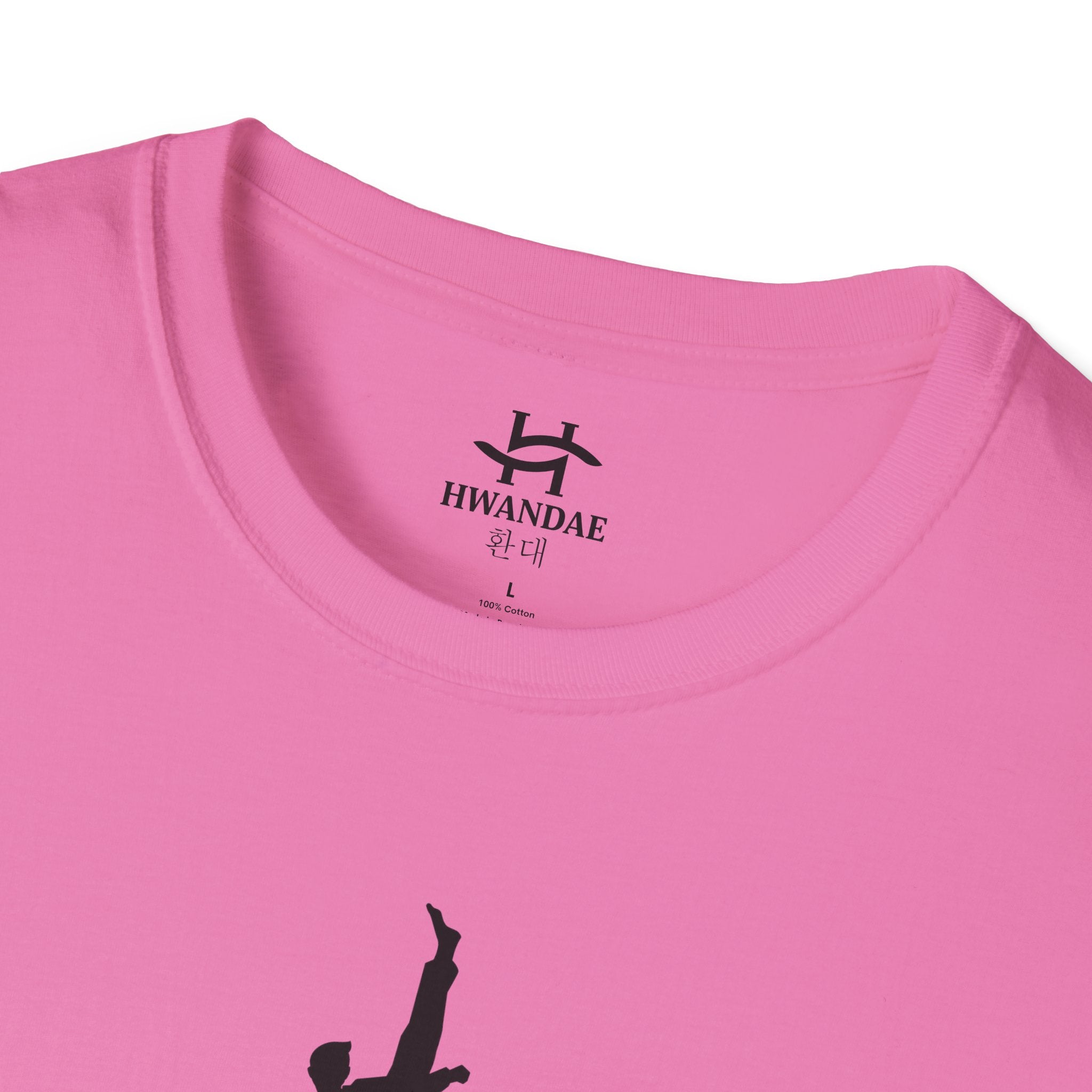 Korean Taekwondo T-shirt 10