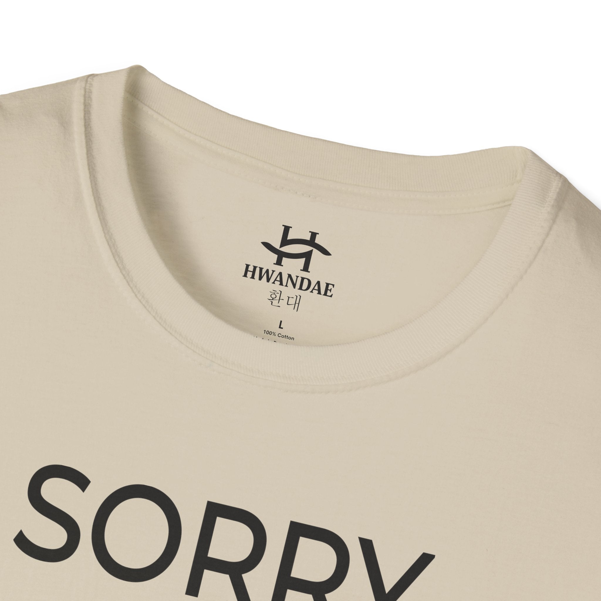 Korean SORRY T-Shirt