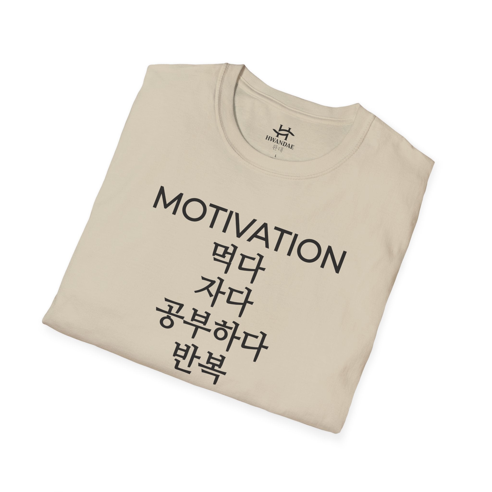 Korean MOTIVATION T-Shirt - Eat Sleep Study Repeat Version 2