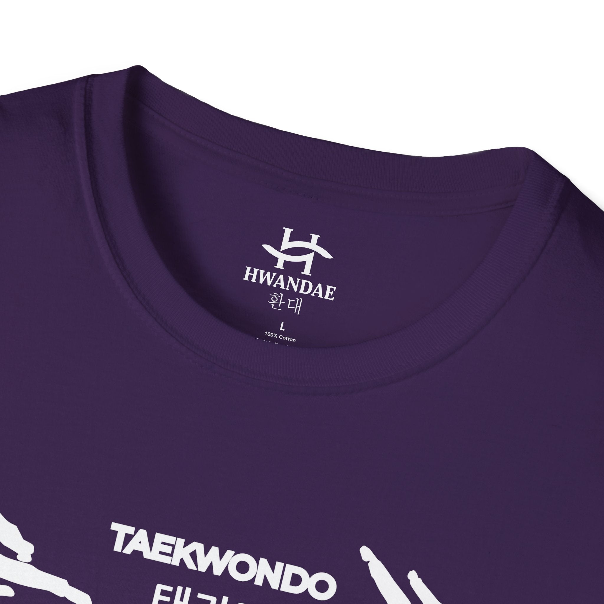 Korean Taekwondo T-shirt with Double Fighters 1