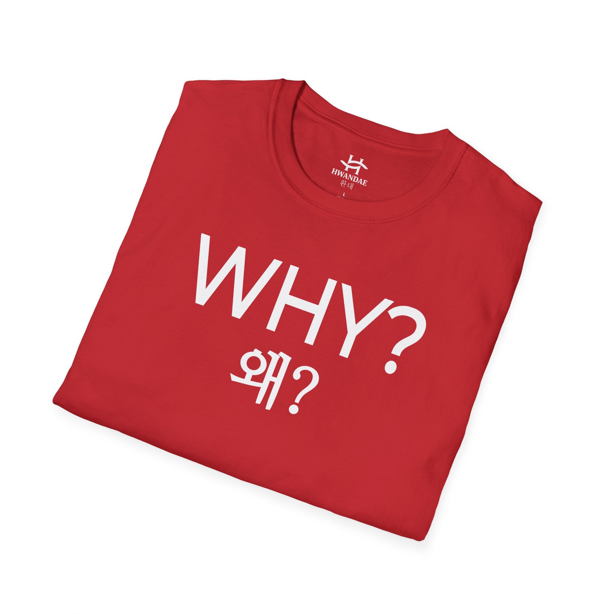 Korean WHY T-Shirt
