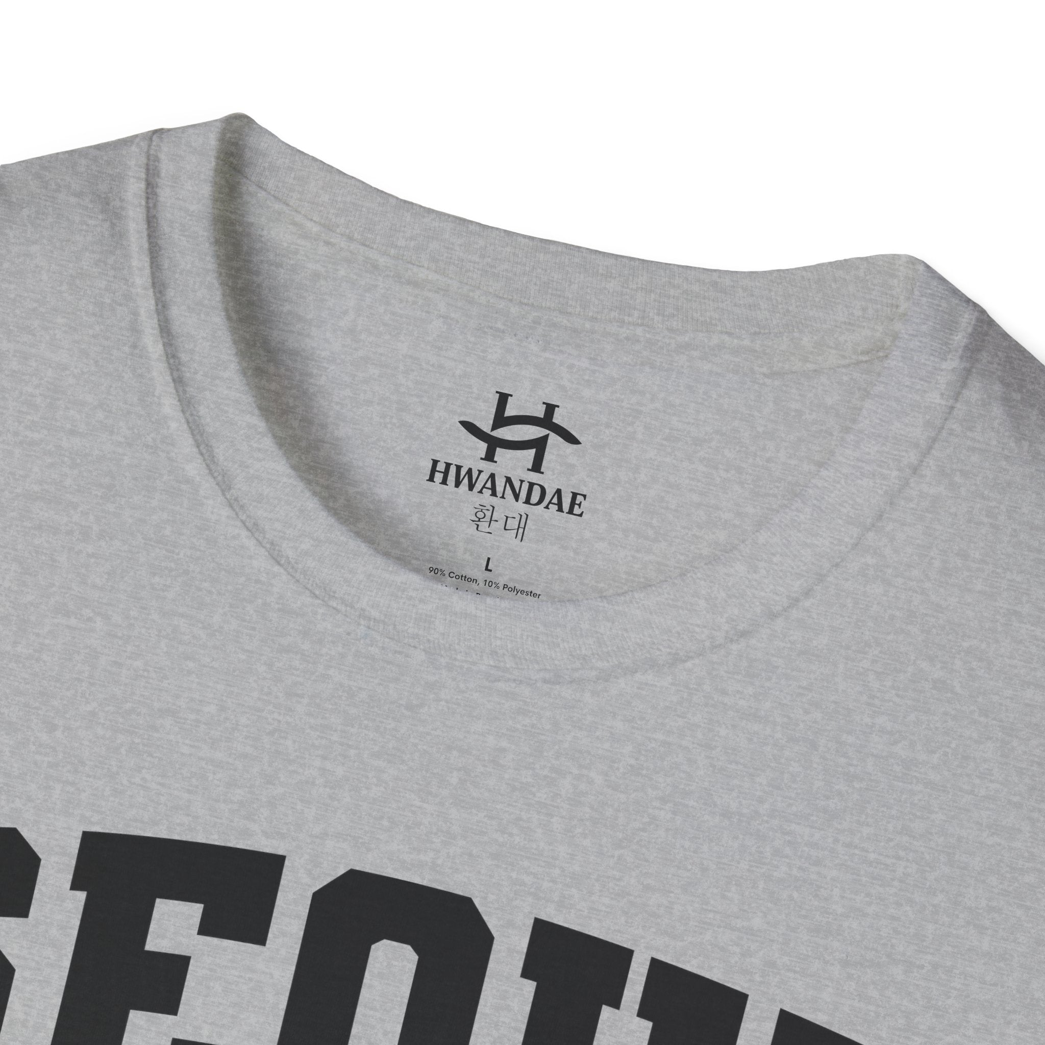 Seoul Korea Varsity T-Shirt