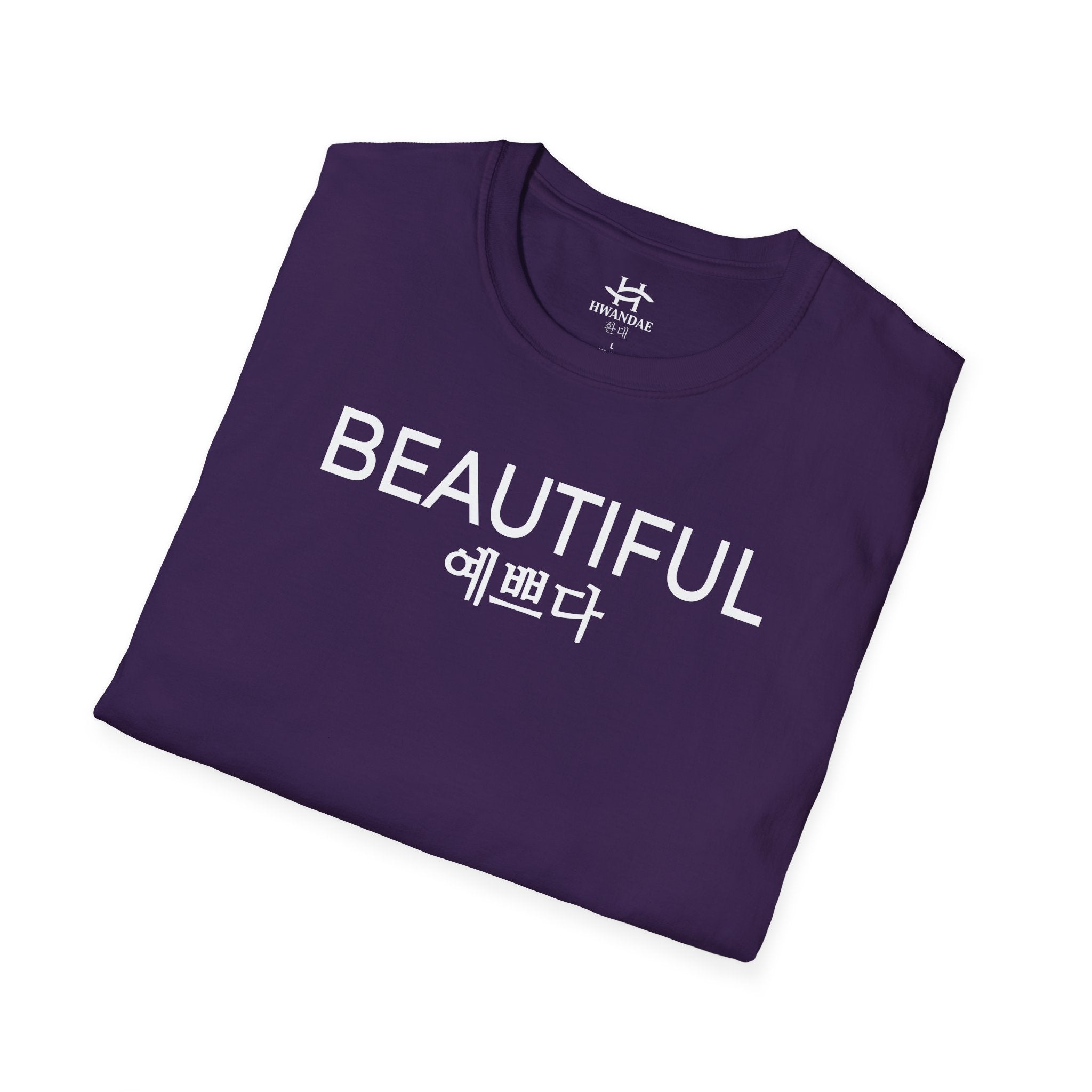 Korean BEAUTIFUL T-Shirt