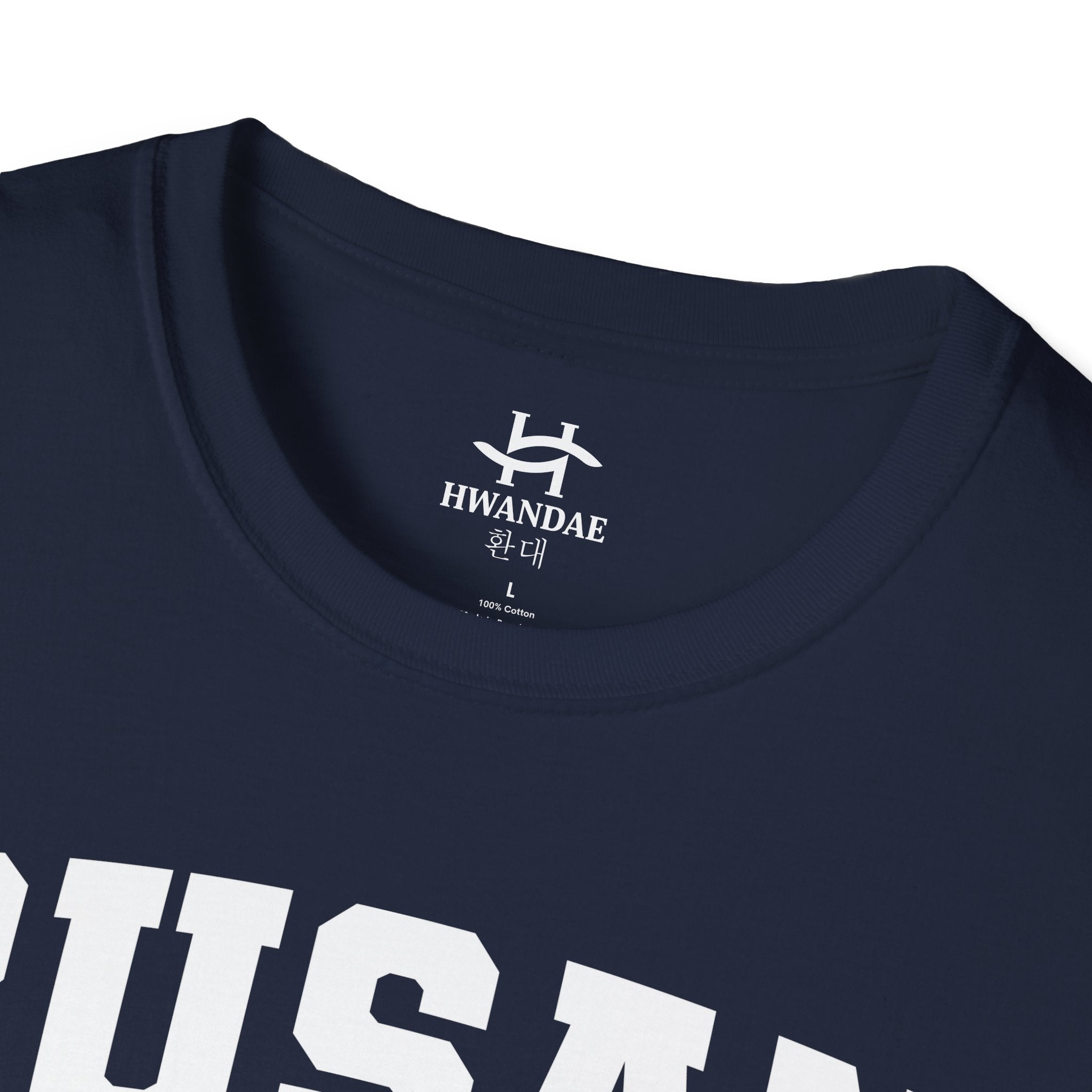 Busan Varsity T-Shirt with Korean and Flags