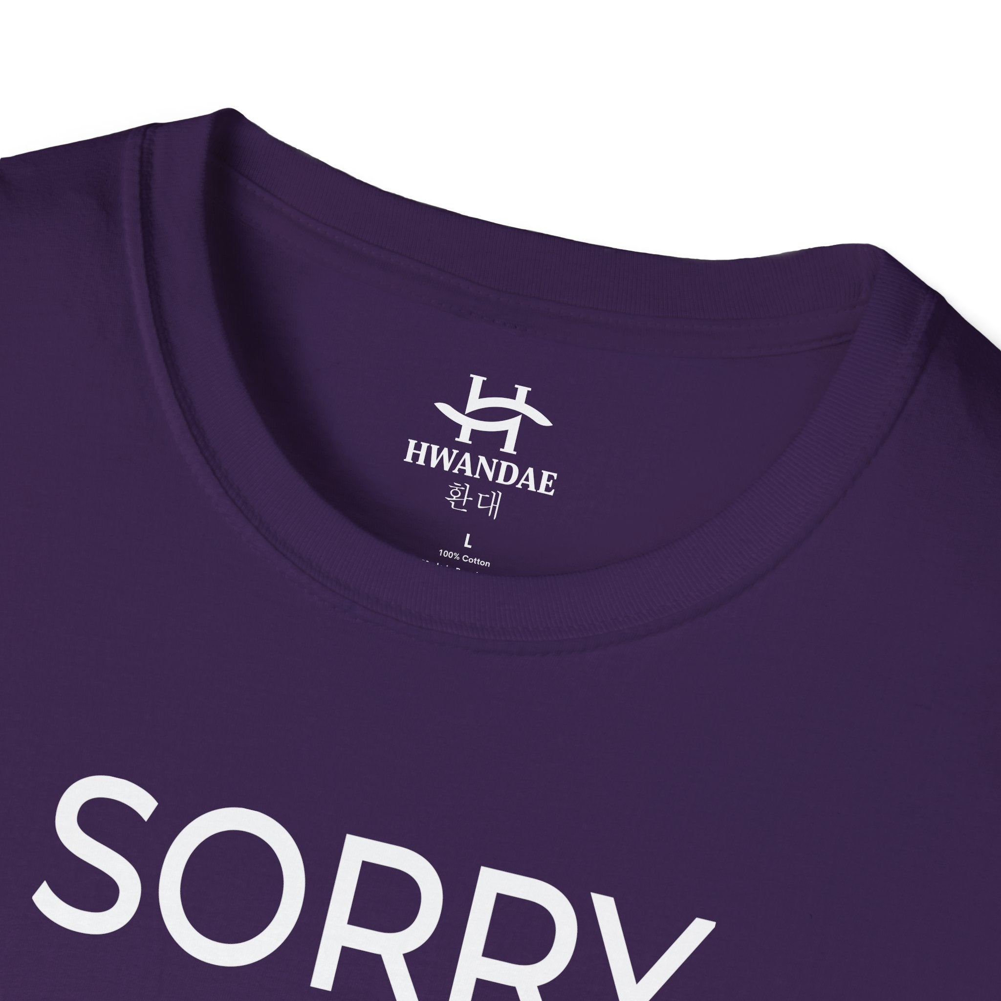 Korean SORRY T-Shirt