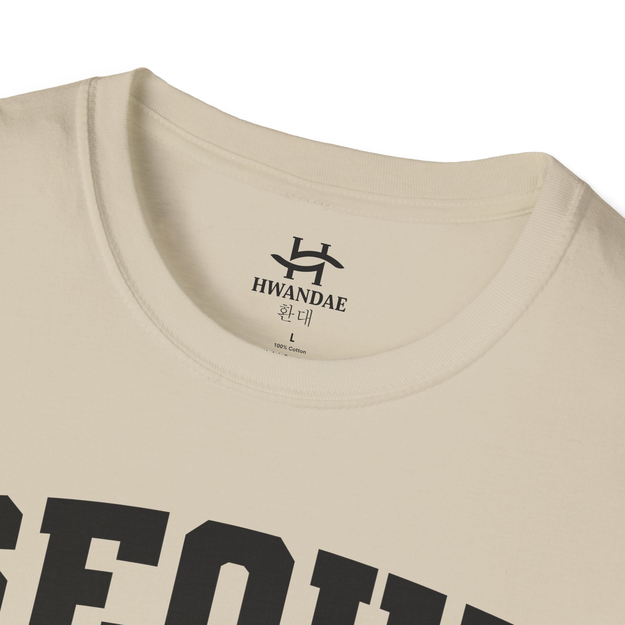 Seoul Varsity T-Shirt with Korean, Flags and Establishment date