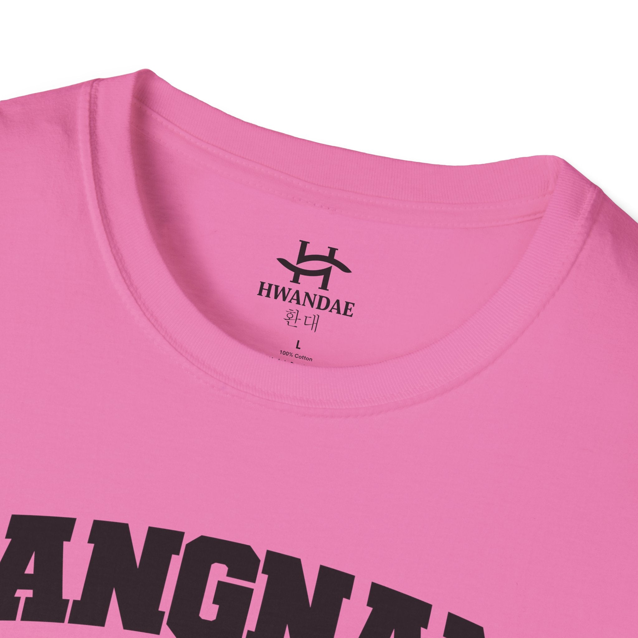 Gangnam Seoul Varsity T-Shirt