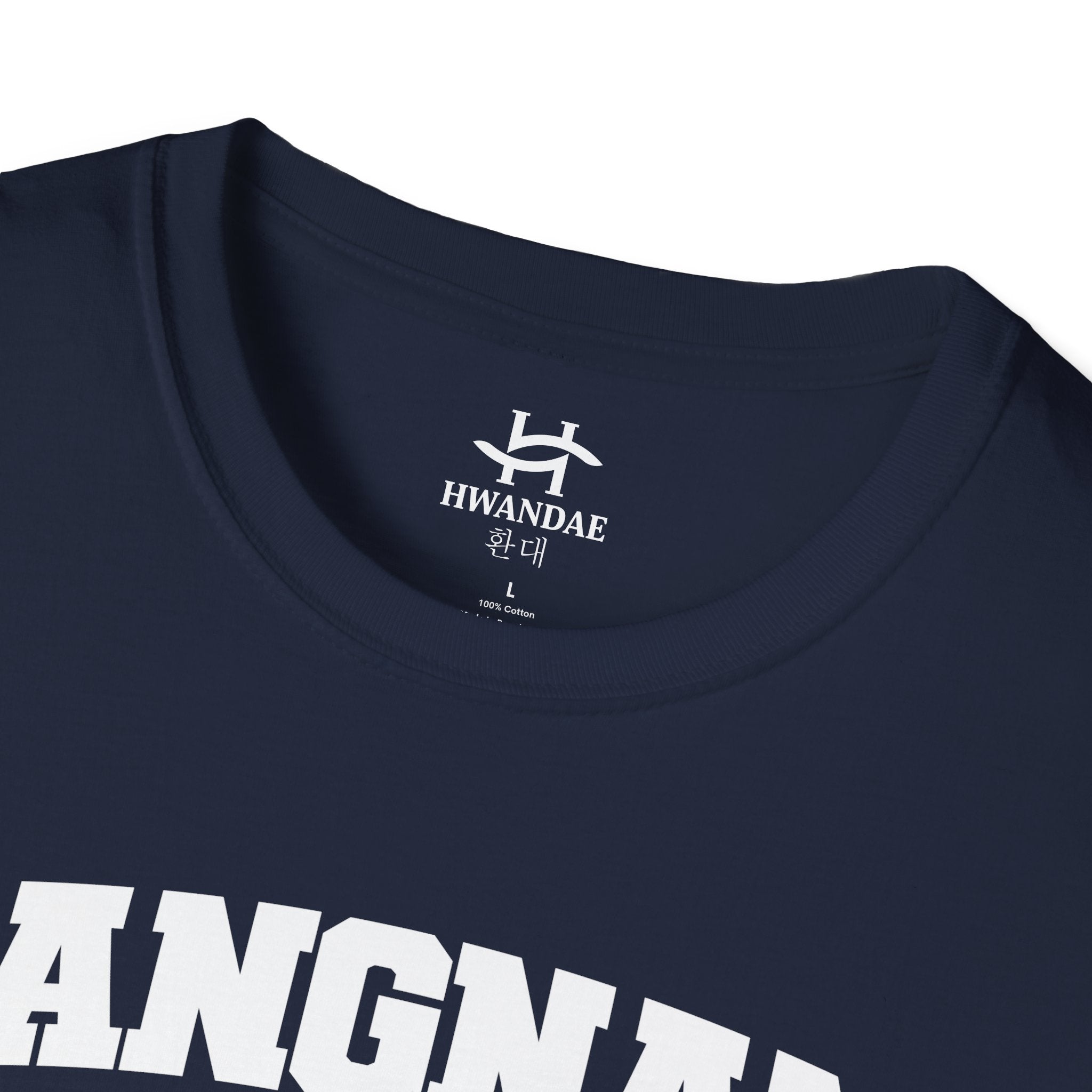 Gangnam Seoul Varsity T-Shirt