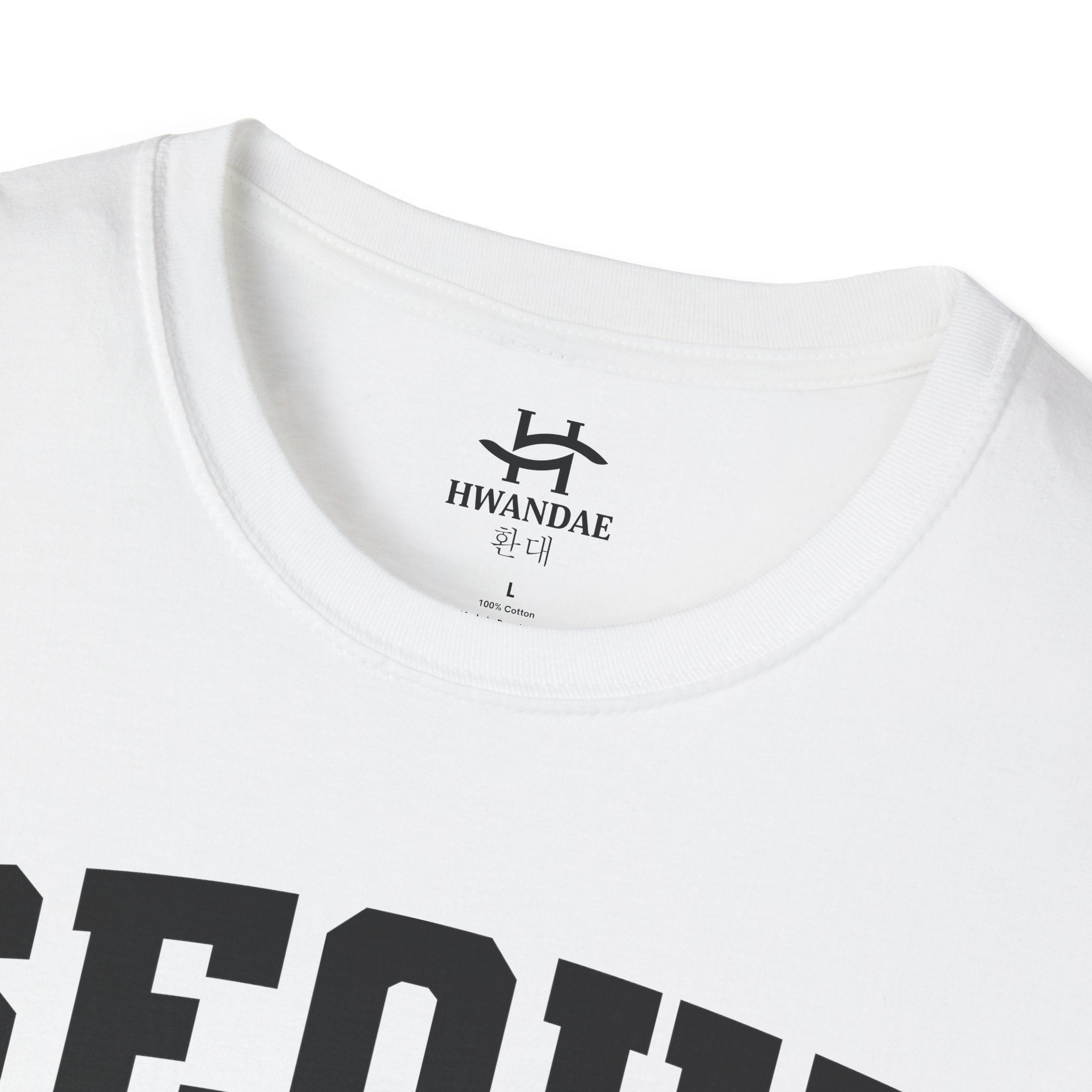 Seoul Korea Varsity T-Shirt