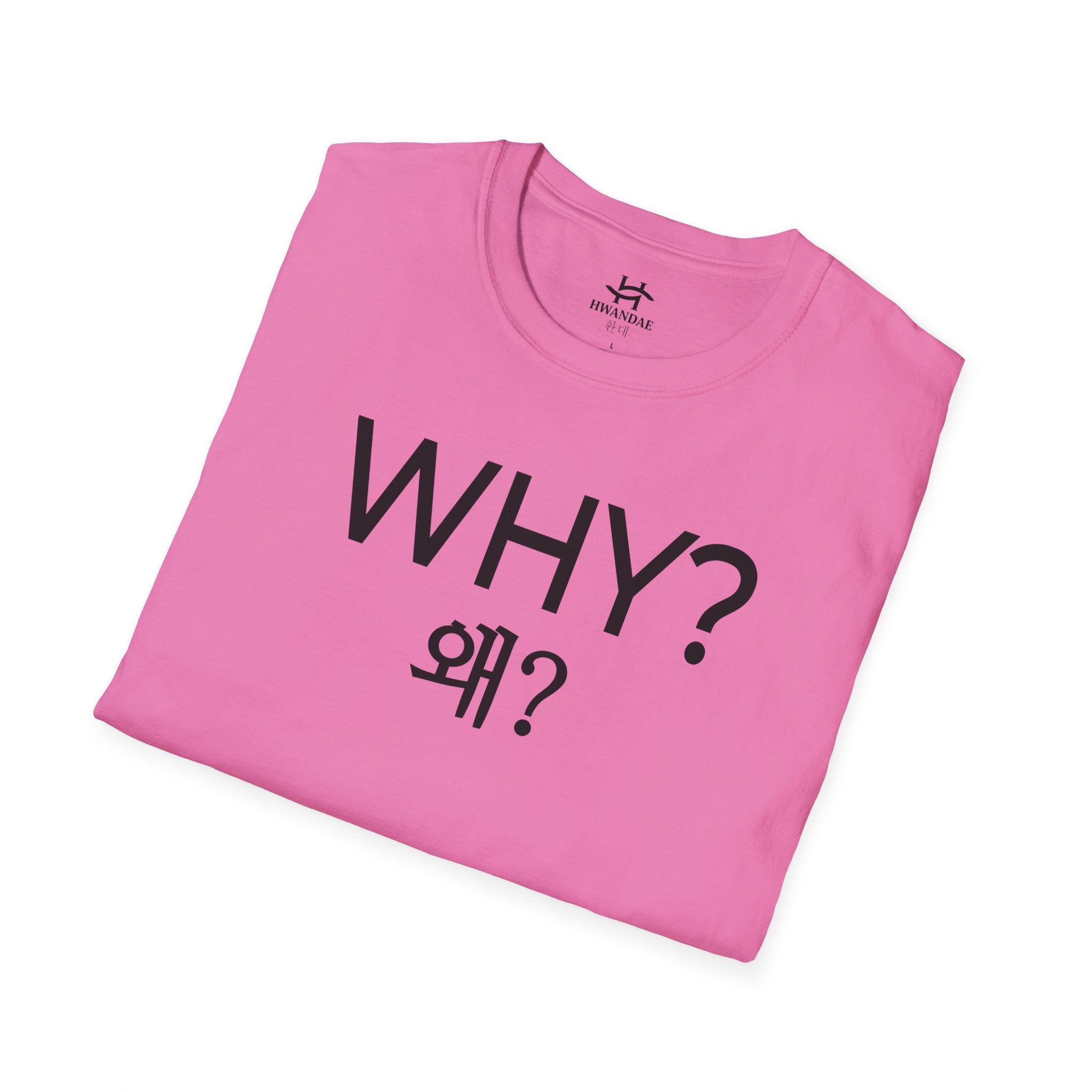 Korean WHY T-Shirt