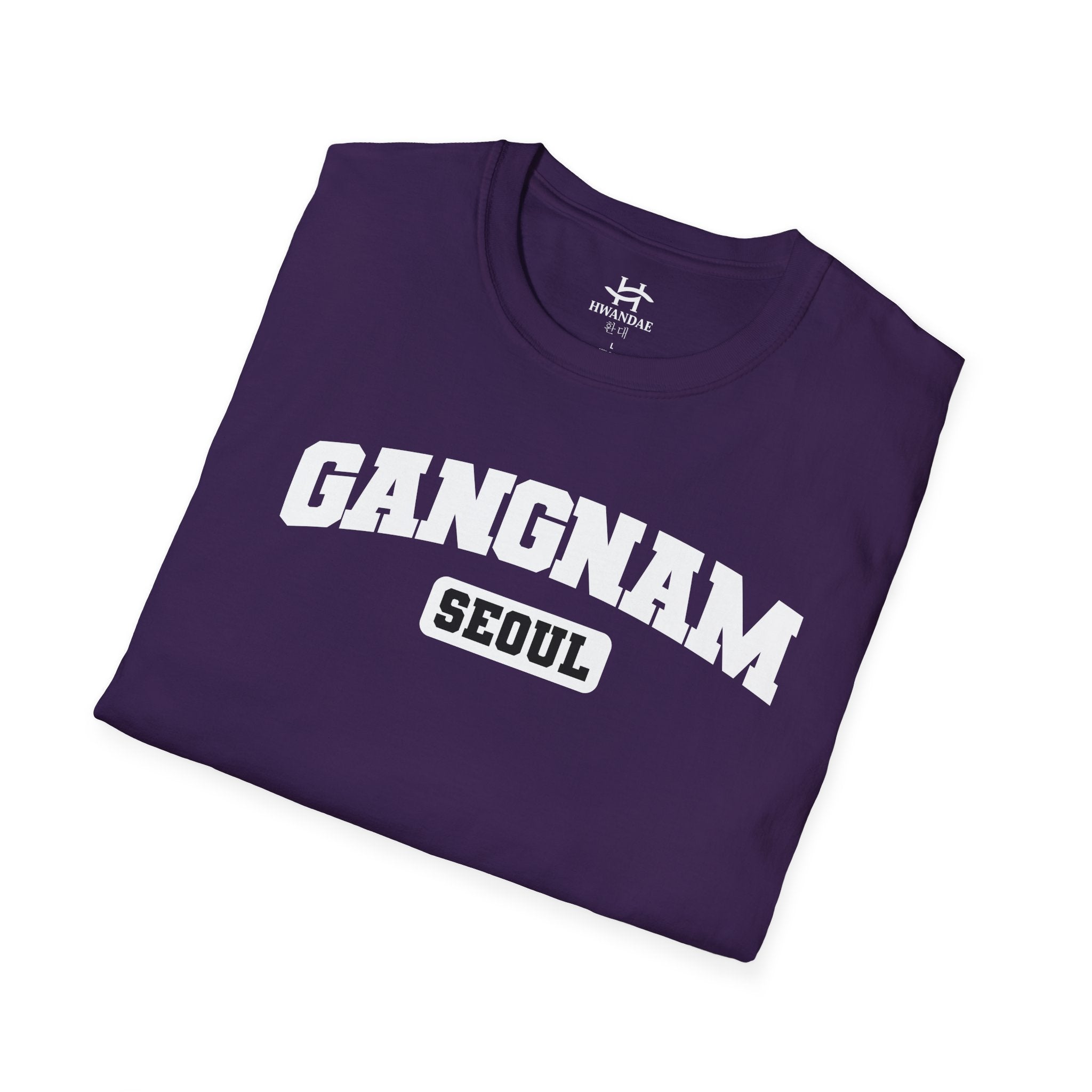 Gangnam Seoul Varsity T-Shirt