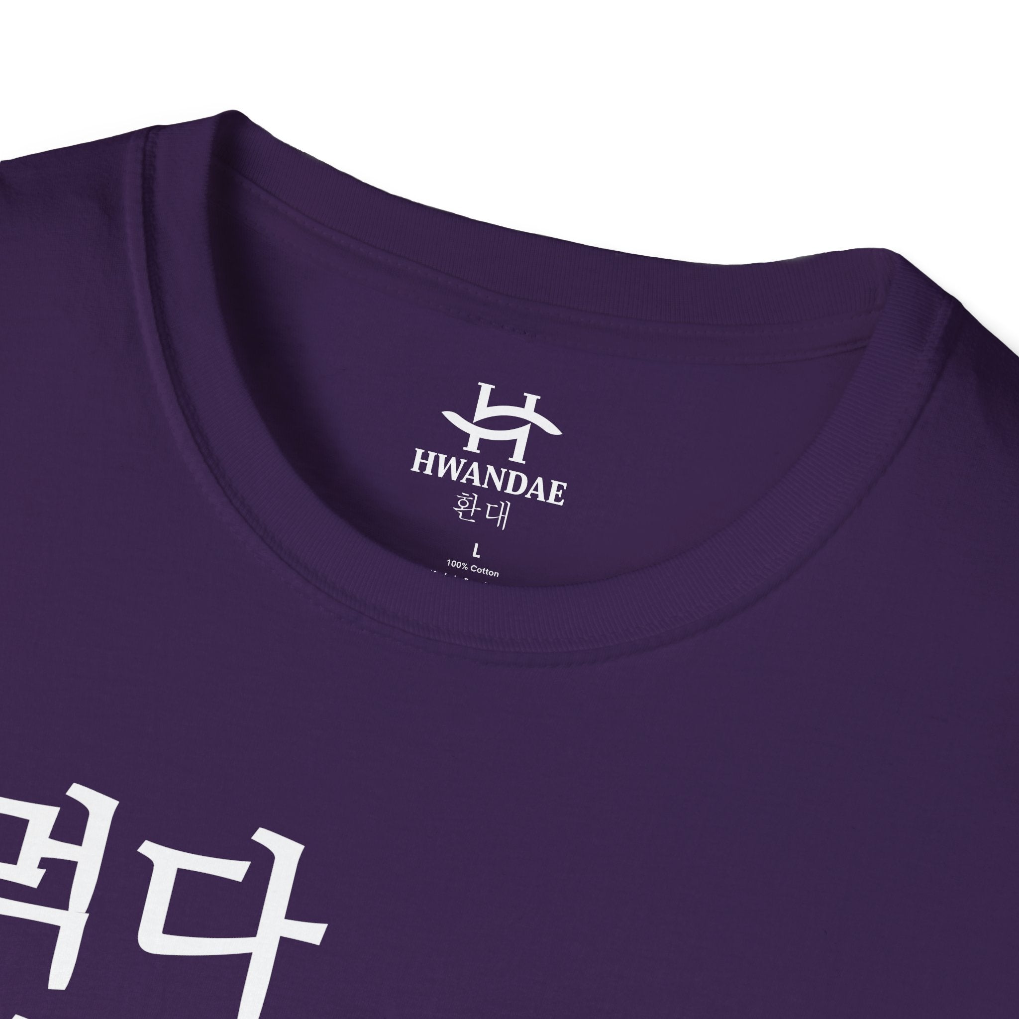 Korean Eat Sleep KOREA Repeat T-Shirt