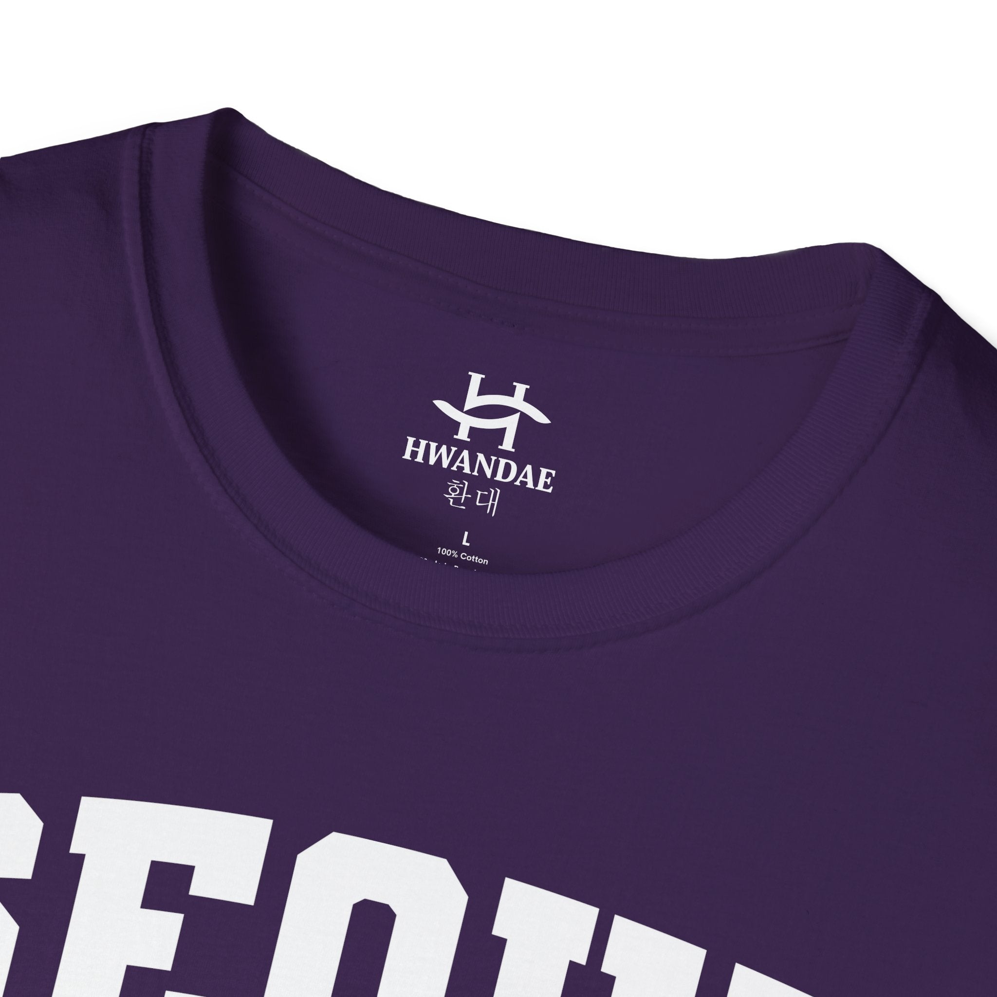 Seoul Korea Varsity T-Shirt