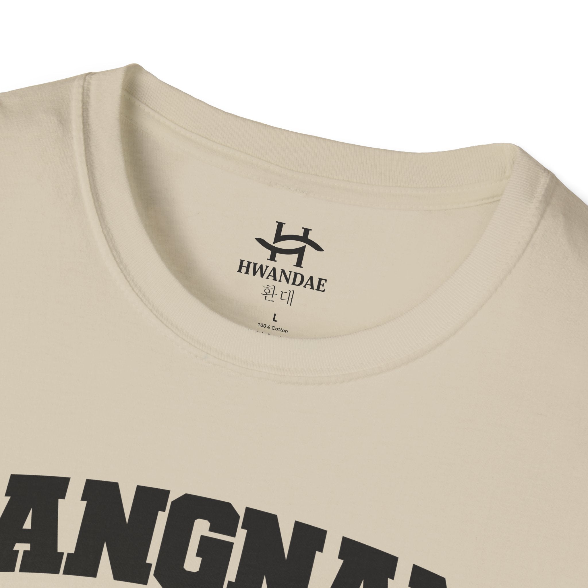 Gangnam Seoul Varsity T-Shirt