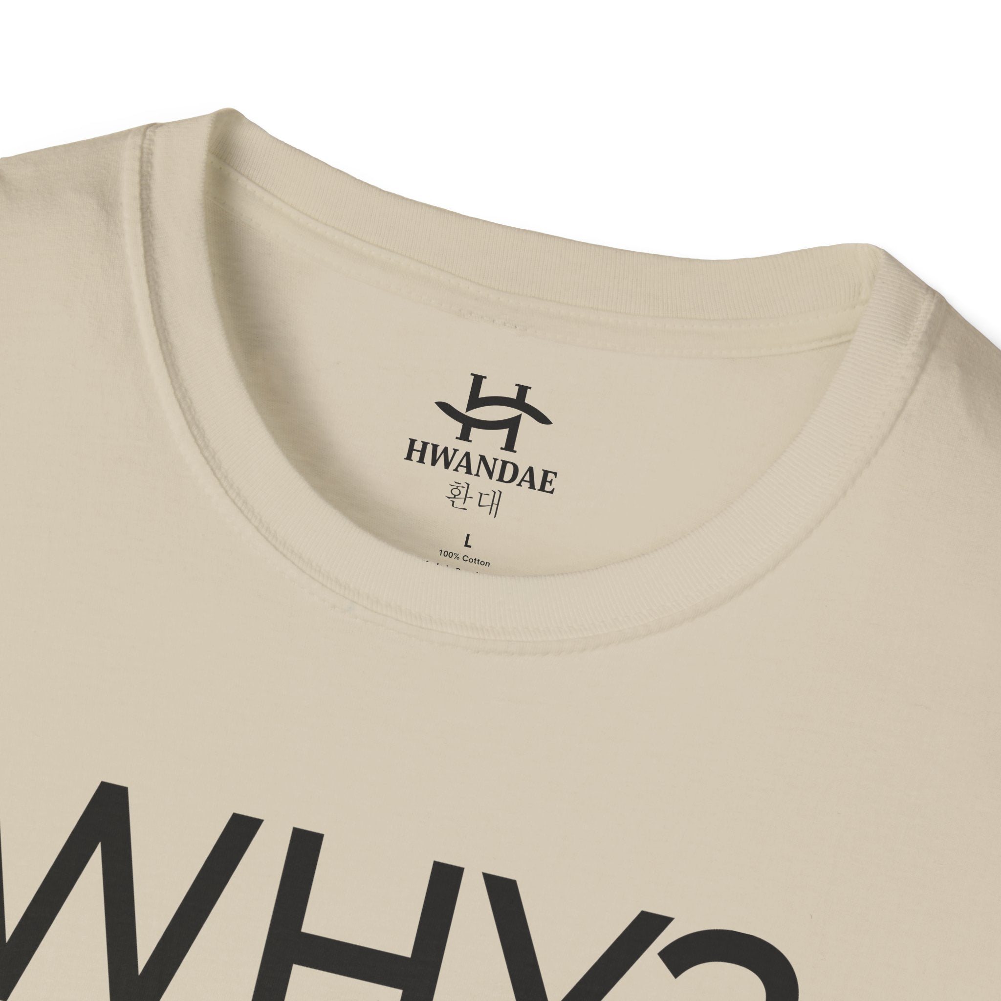 Korean WHY T-Shirt