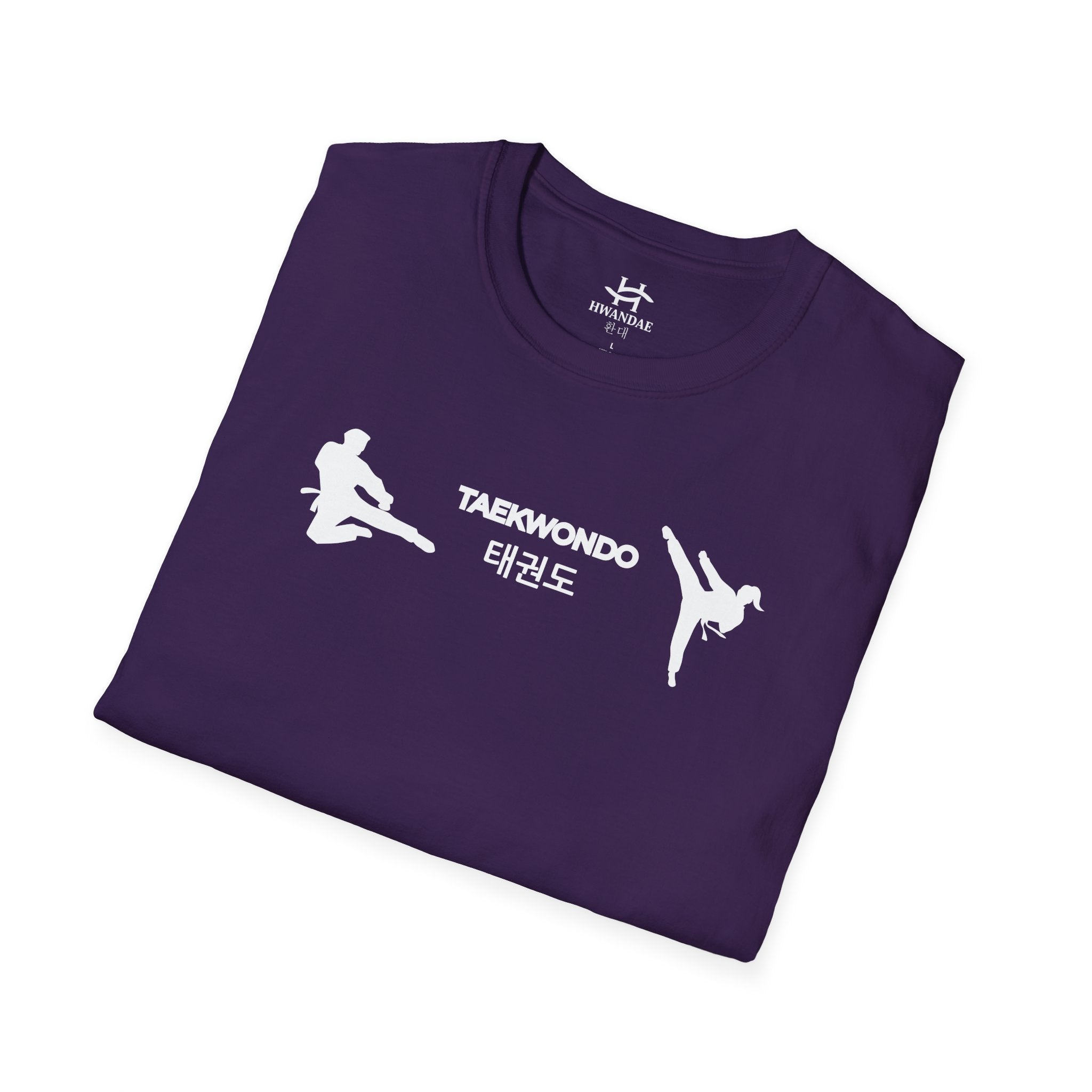 Korean Taekwondo T-shirt with Double Fighters 1