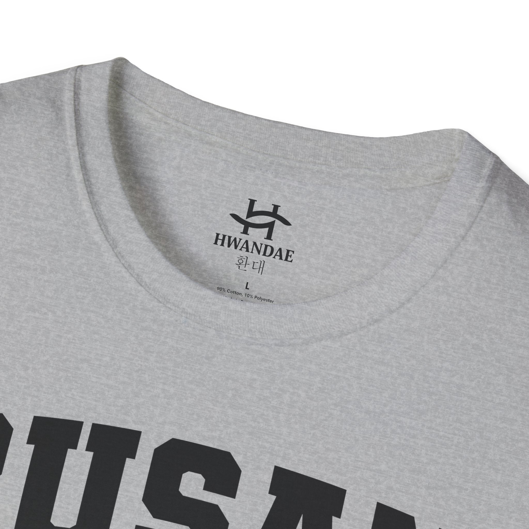 Busan Varsity T-Shirt with Korean and Flags