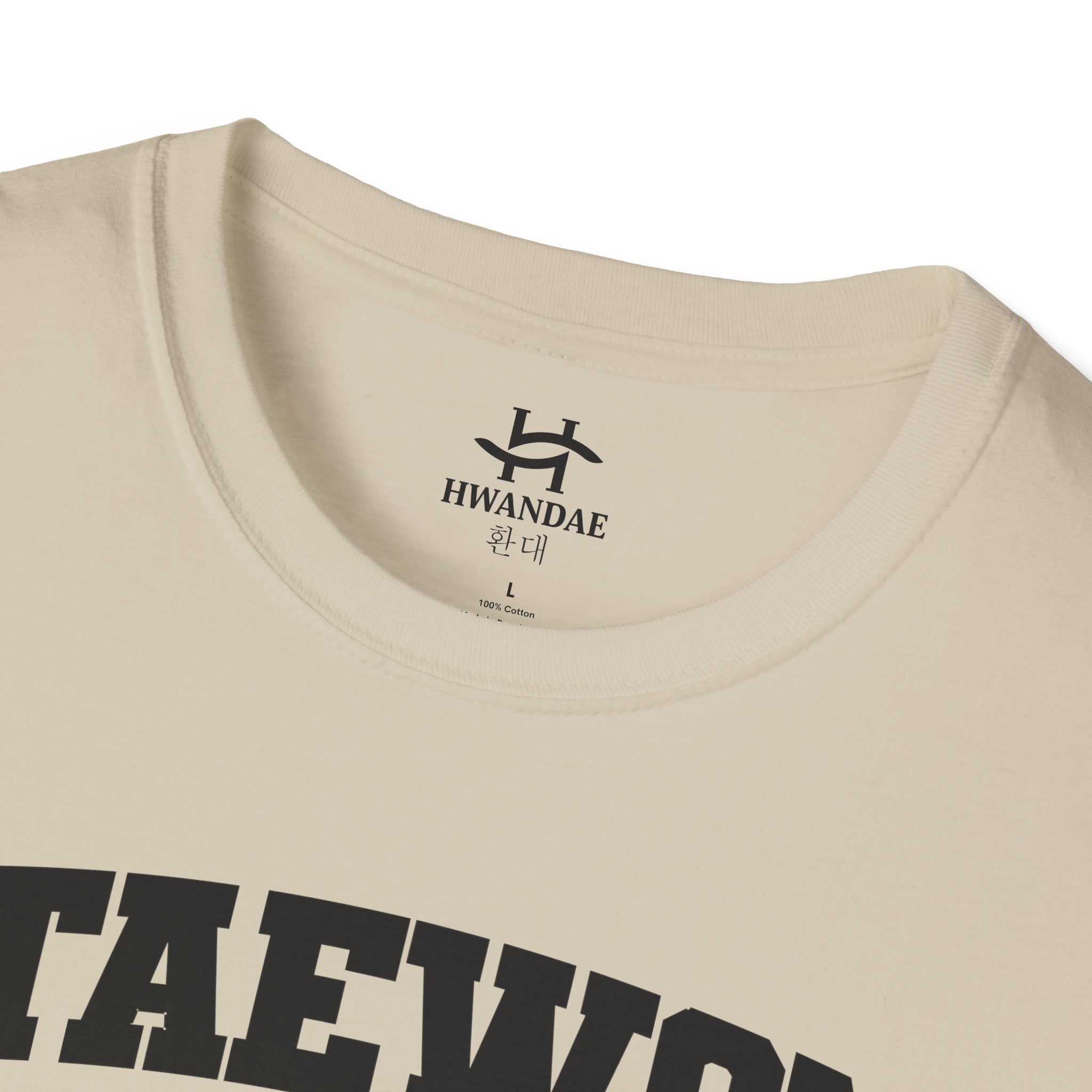 Itaewon Seoul Varsity T-Shirt