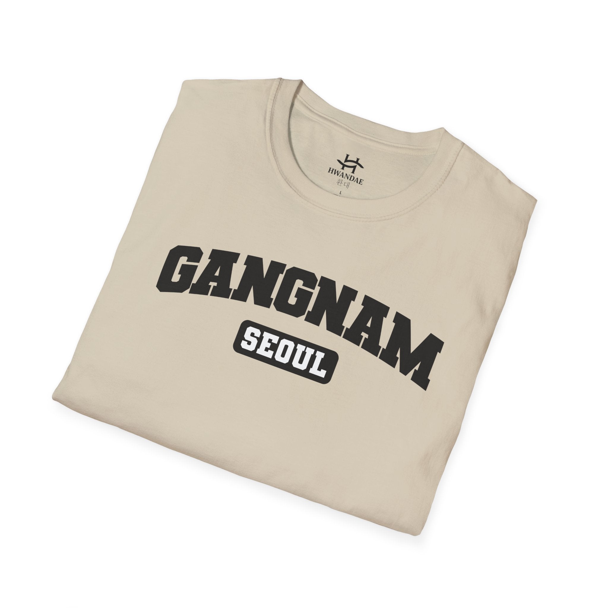Gangnam Seoul Varsity T-Shirt