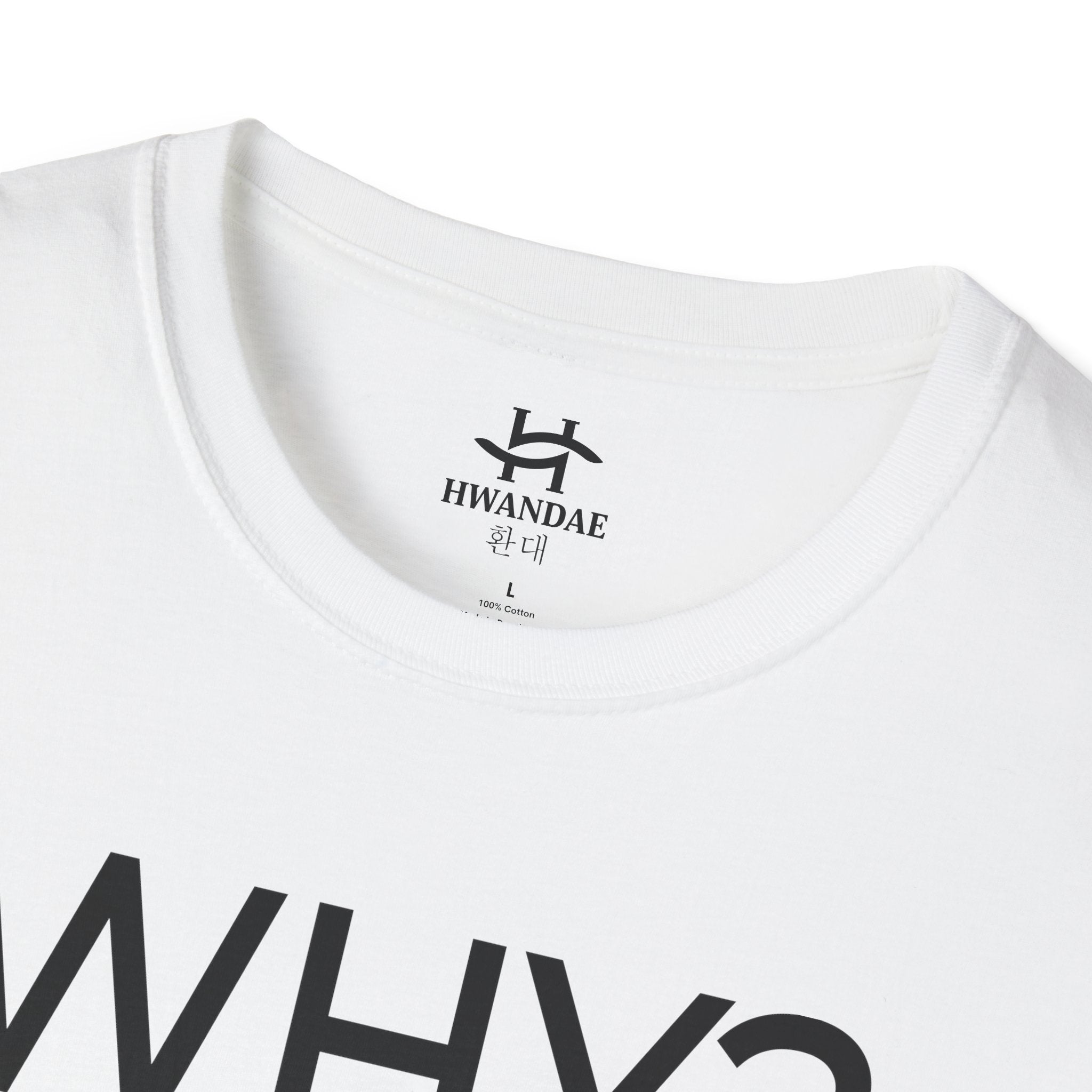 Korean WHY T-Shirt