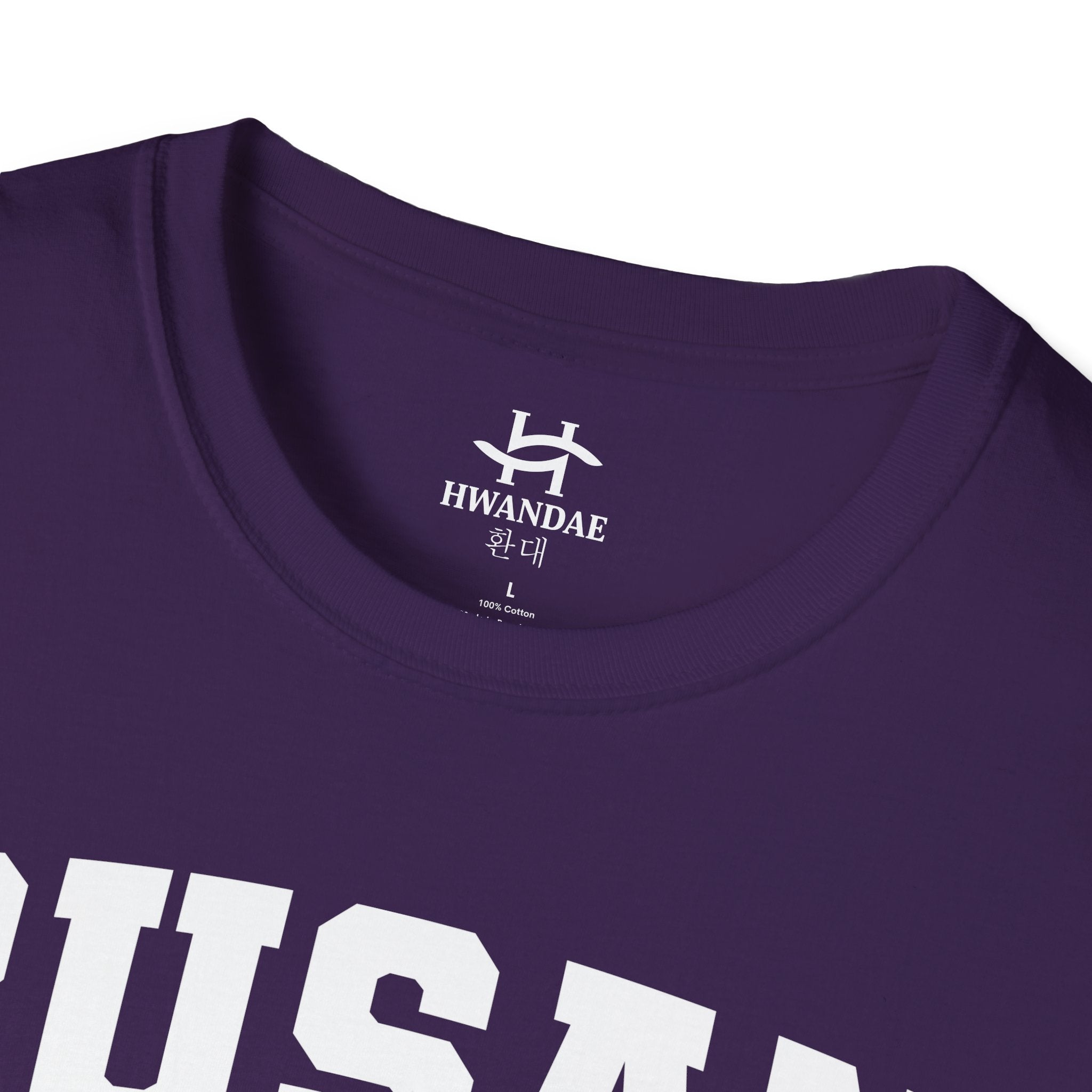 Busan Varsity T-Shirt with Korean and Flags