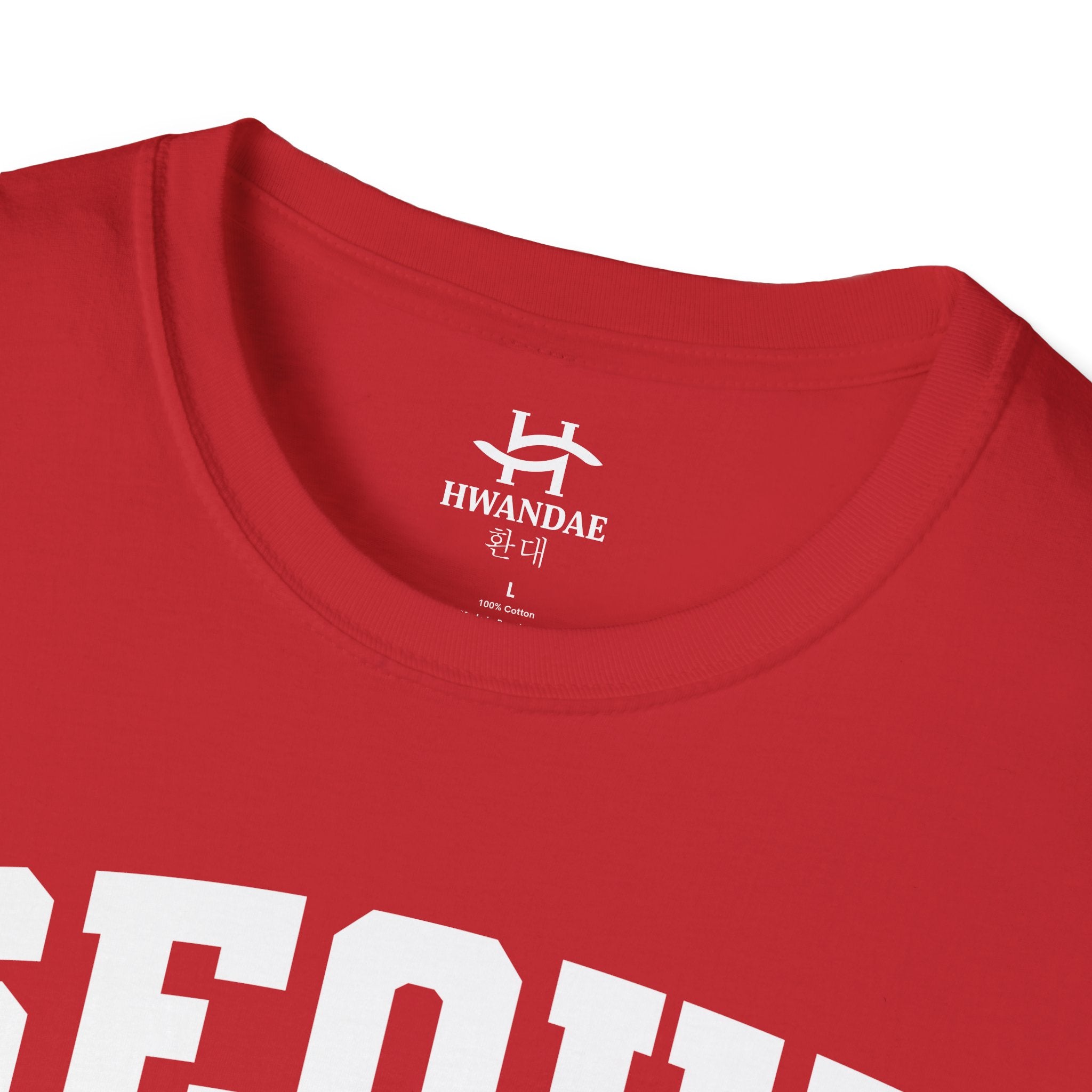 Seoul Varsity T-Shirt with Korean and Flags