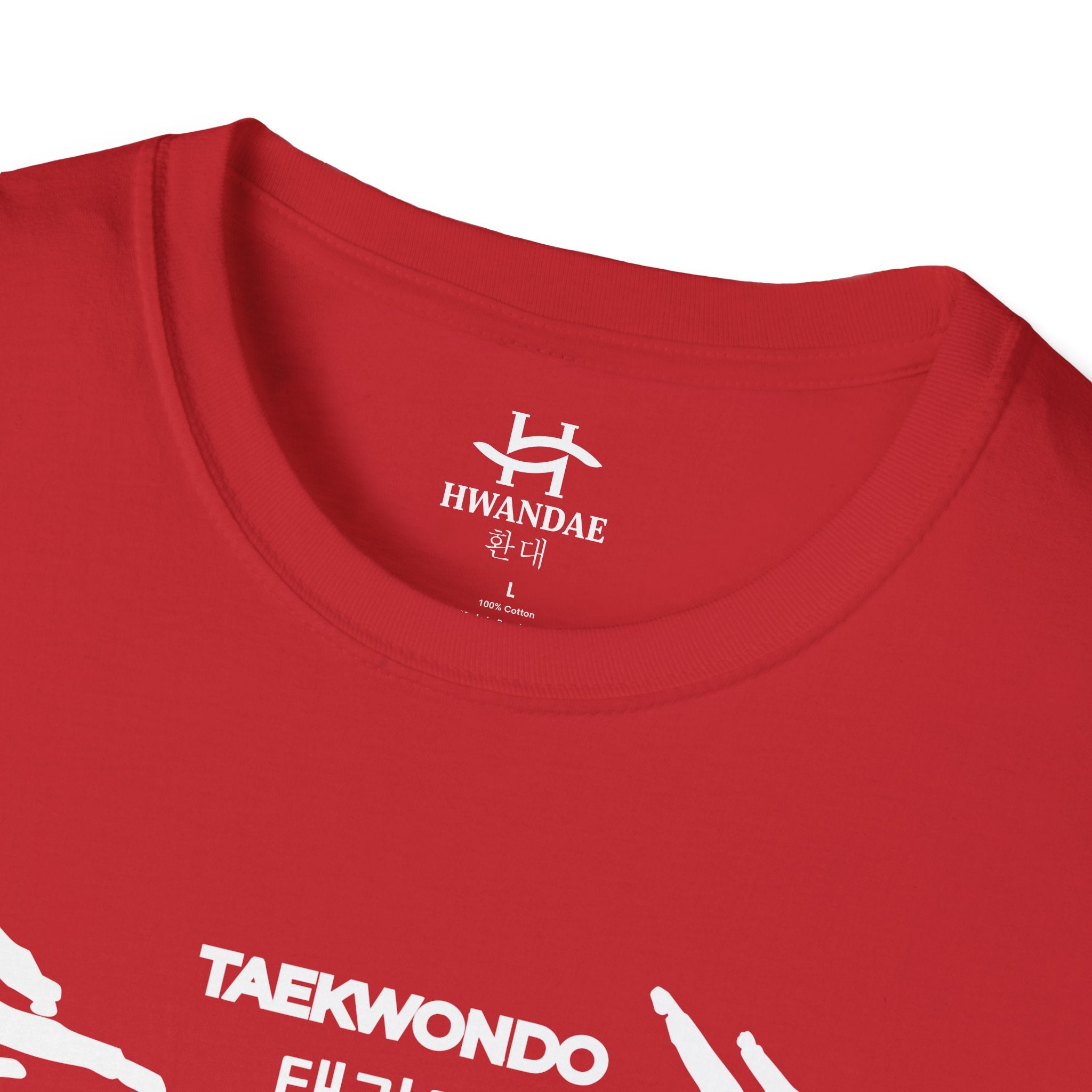 Korean Taekwondo T-shirt with Double Fighters 1