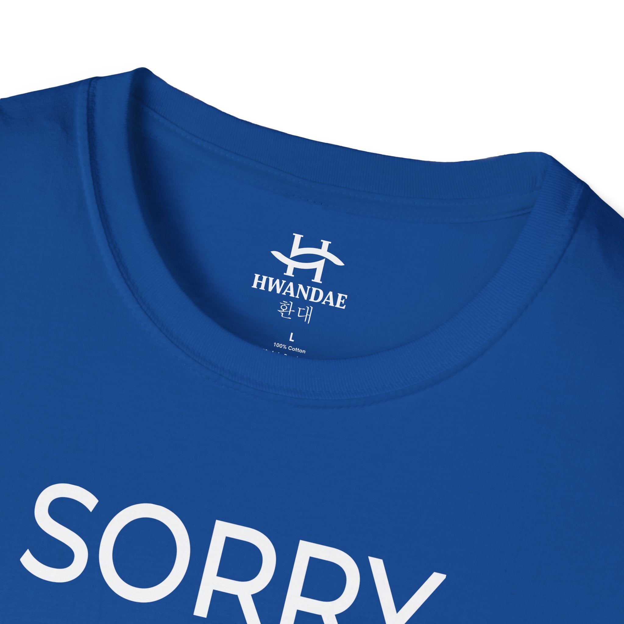 Korean SORRY T-Shirt