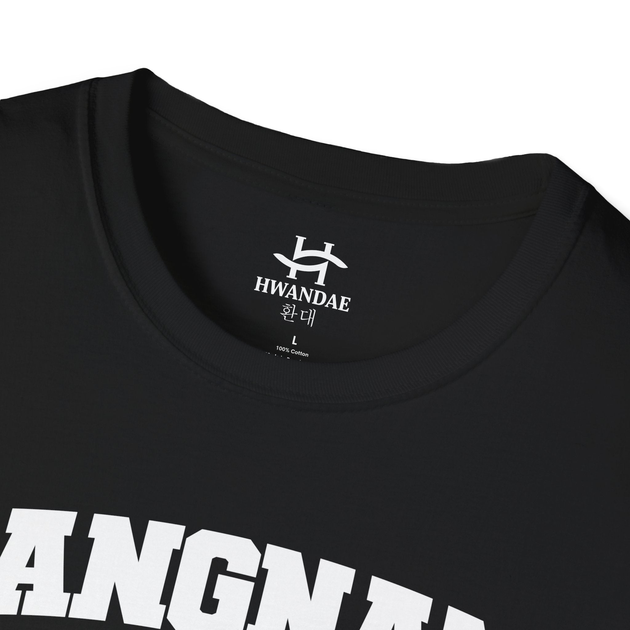 Gangnam Seoul Varsity T-Shirt