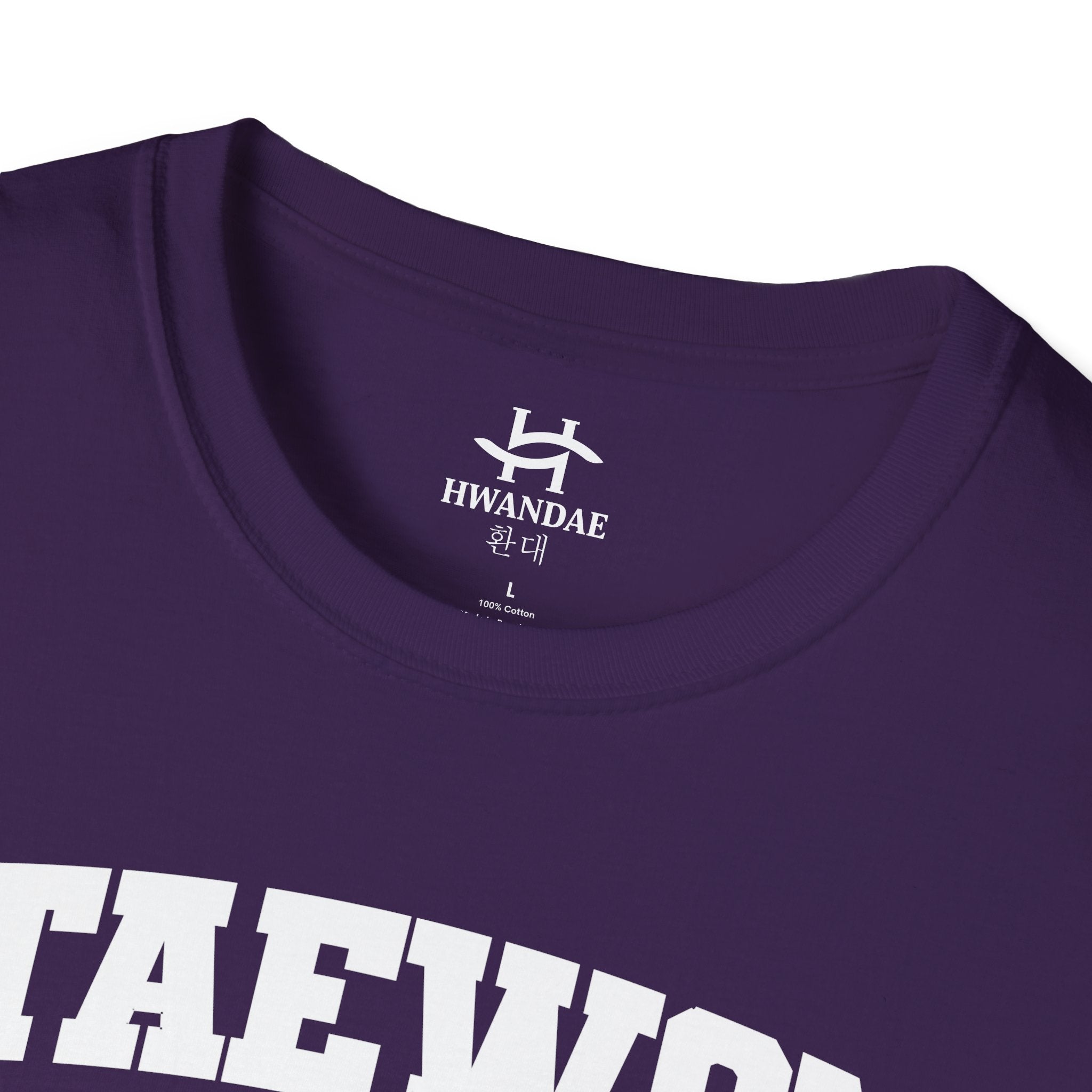 Itaewon Seoul Varsity T-Shirt