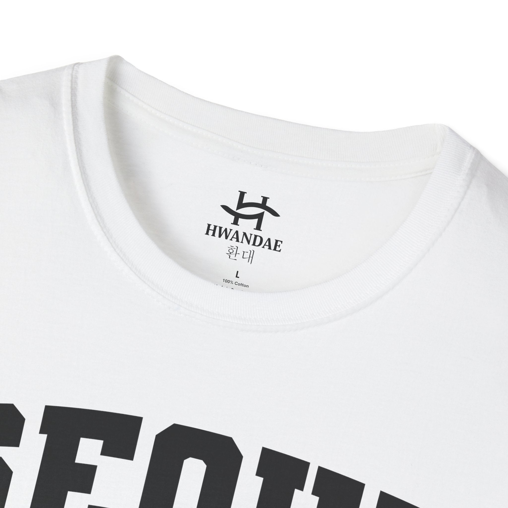 Seoul Varsity T-Shirt with Korean and Flags