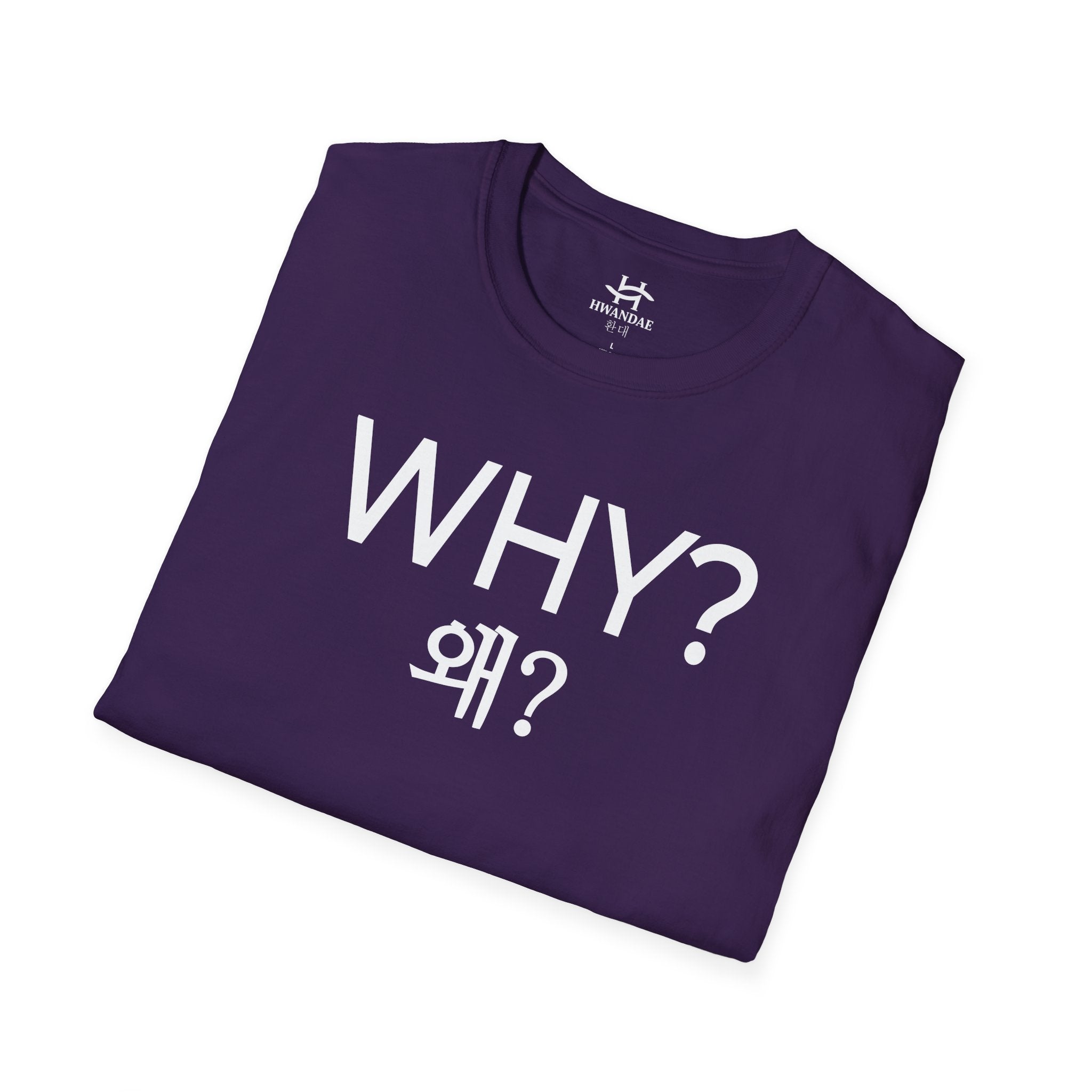 Korean WHY T-Shirt