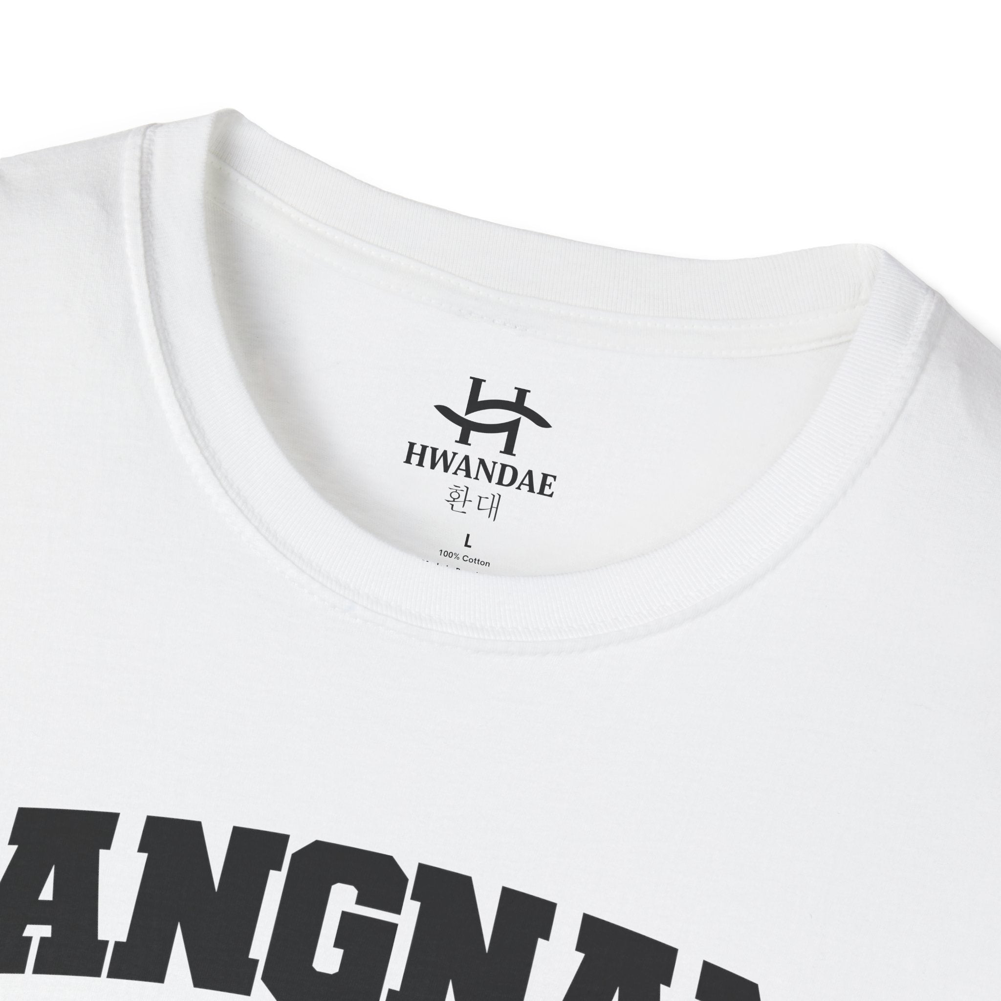 Gangnam Seoul Varsity T-Shirt