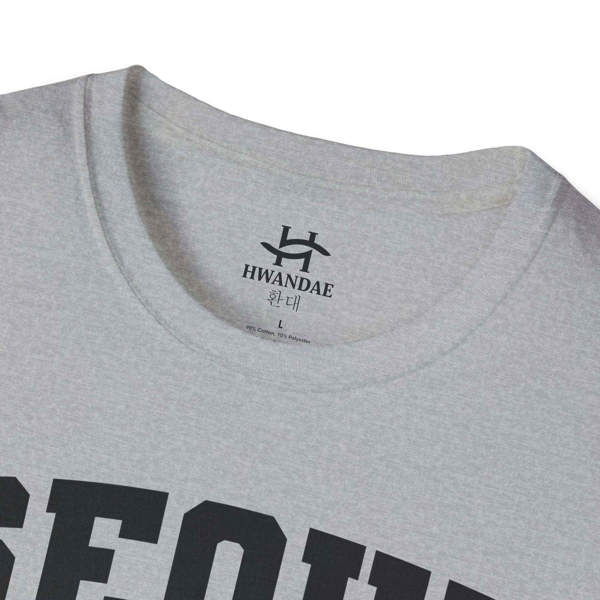 Seoul Varsity T-Shirt with Korean and Flags