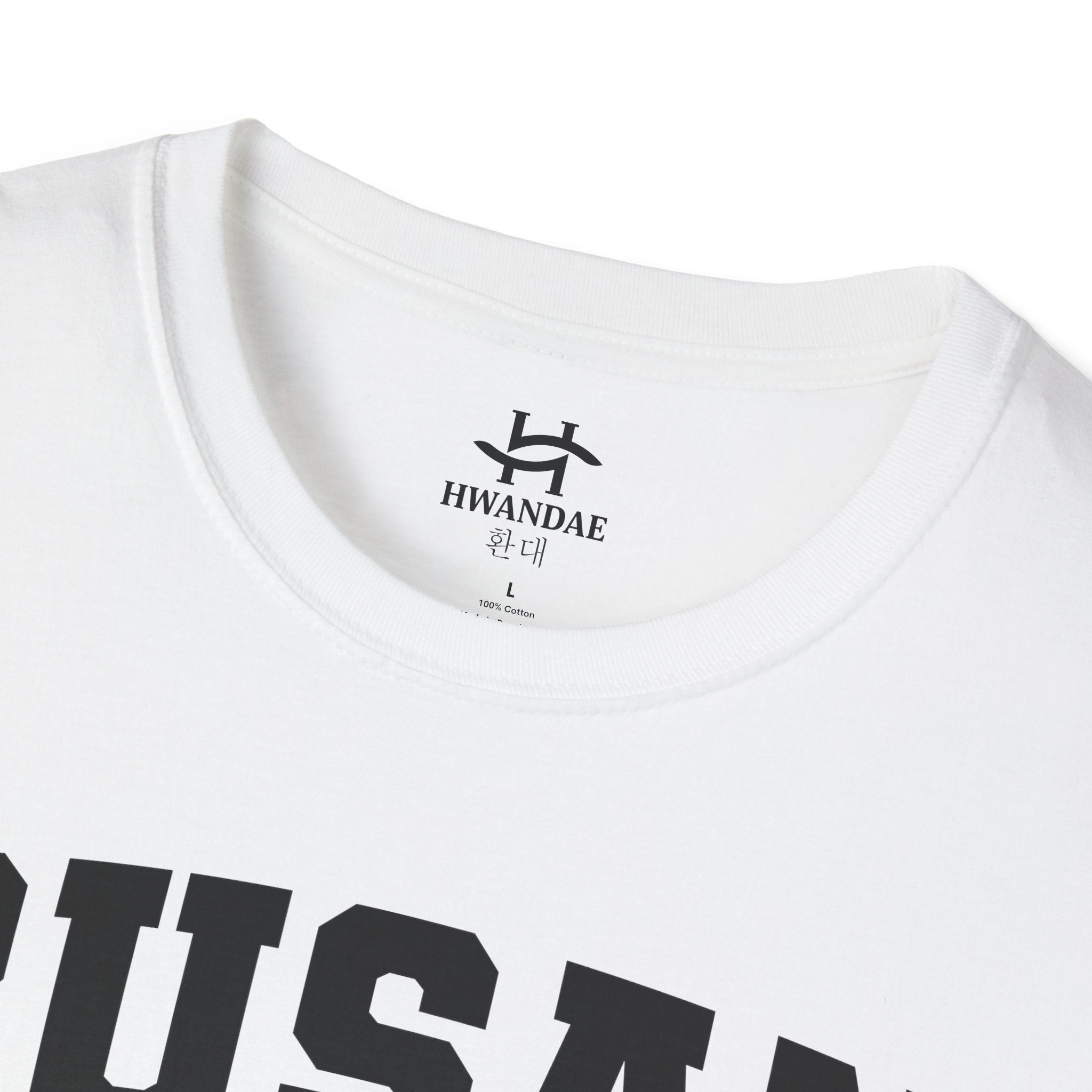 Busan Varsity T-Shirt with Korean and Flags