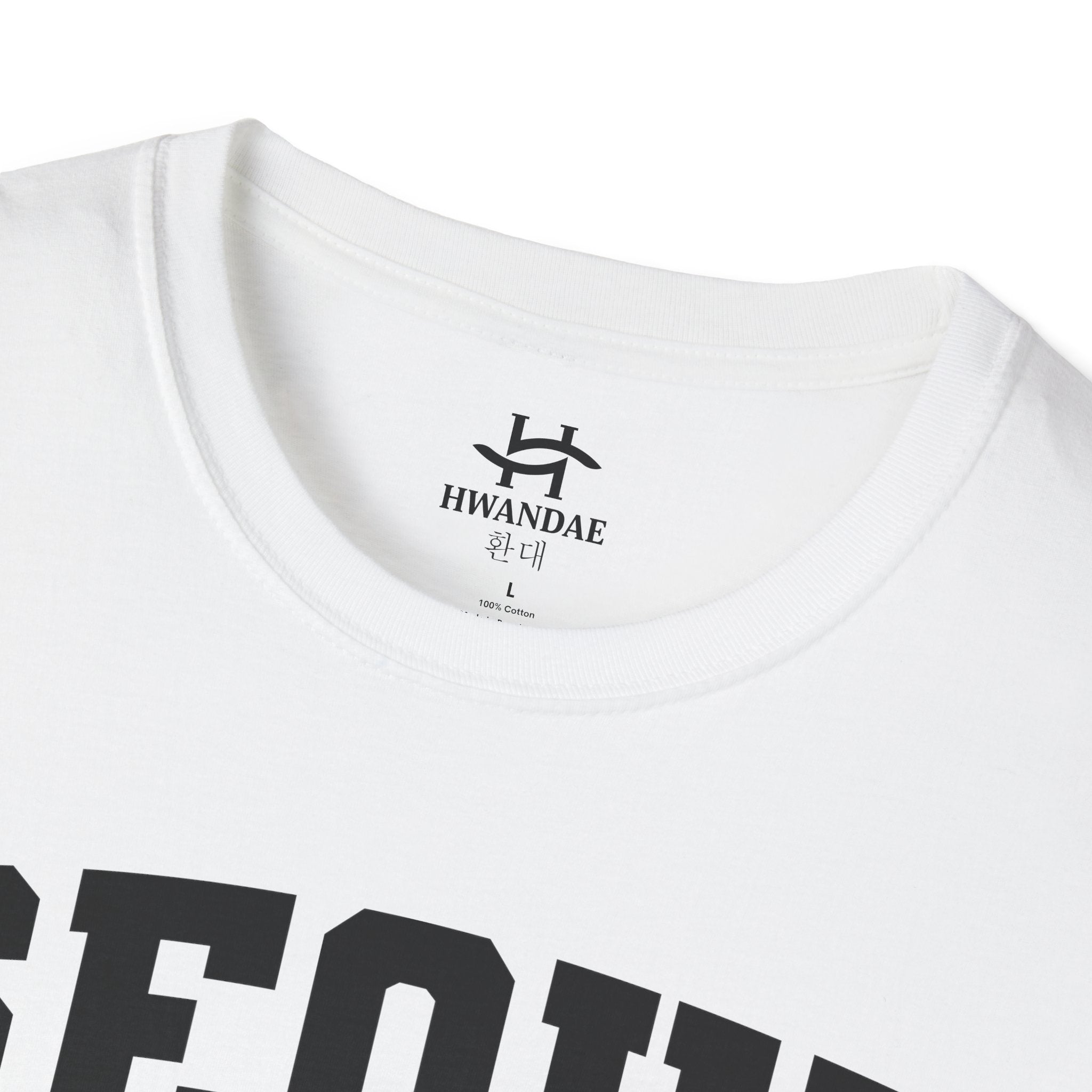 Seoul Varsity T-Shirt with Korean, Flags and Establishment date