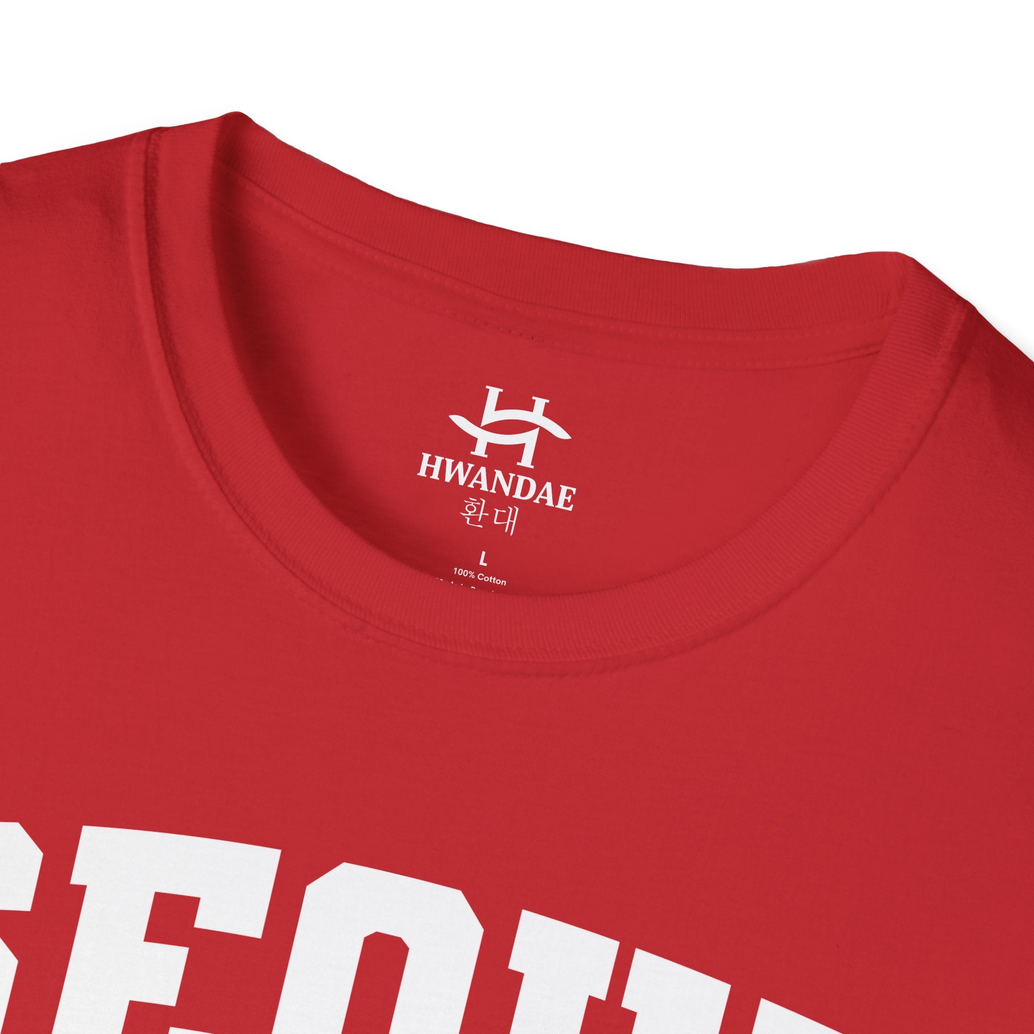 Seoul Korea Varsity T-Shirt