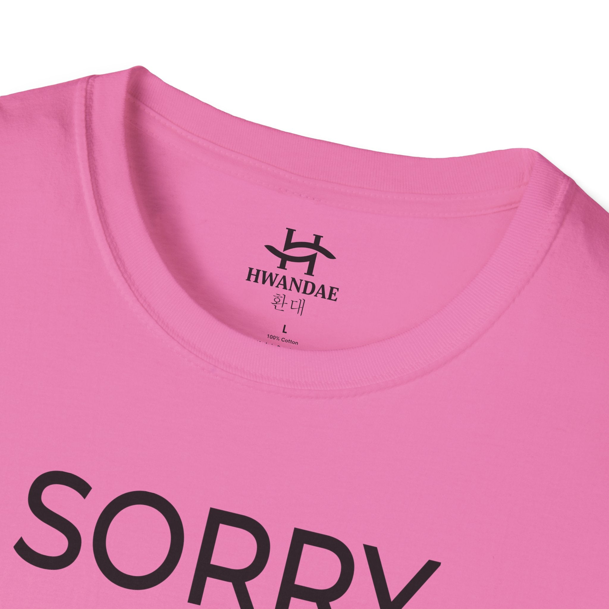 Korean SORRY T-Shirt