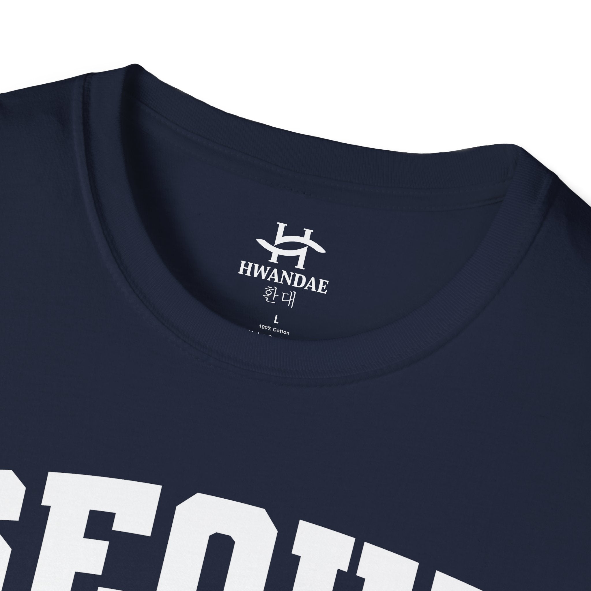 Seoul Korea Varsity T-Shirt